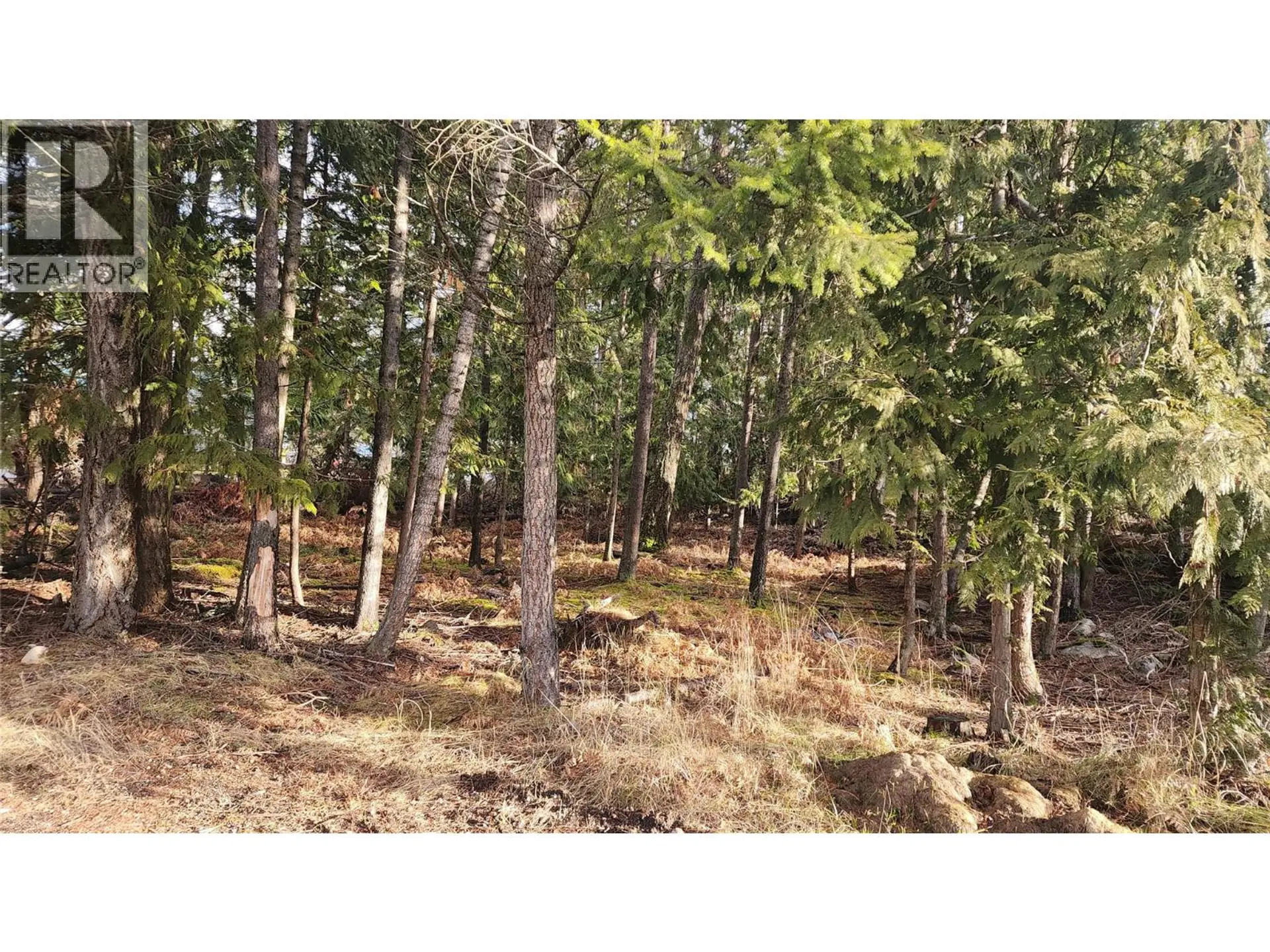 Property at 938 23 HIGHWAY, Nakusp, BC