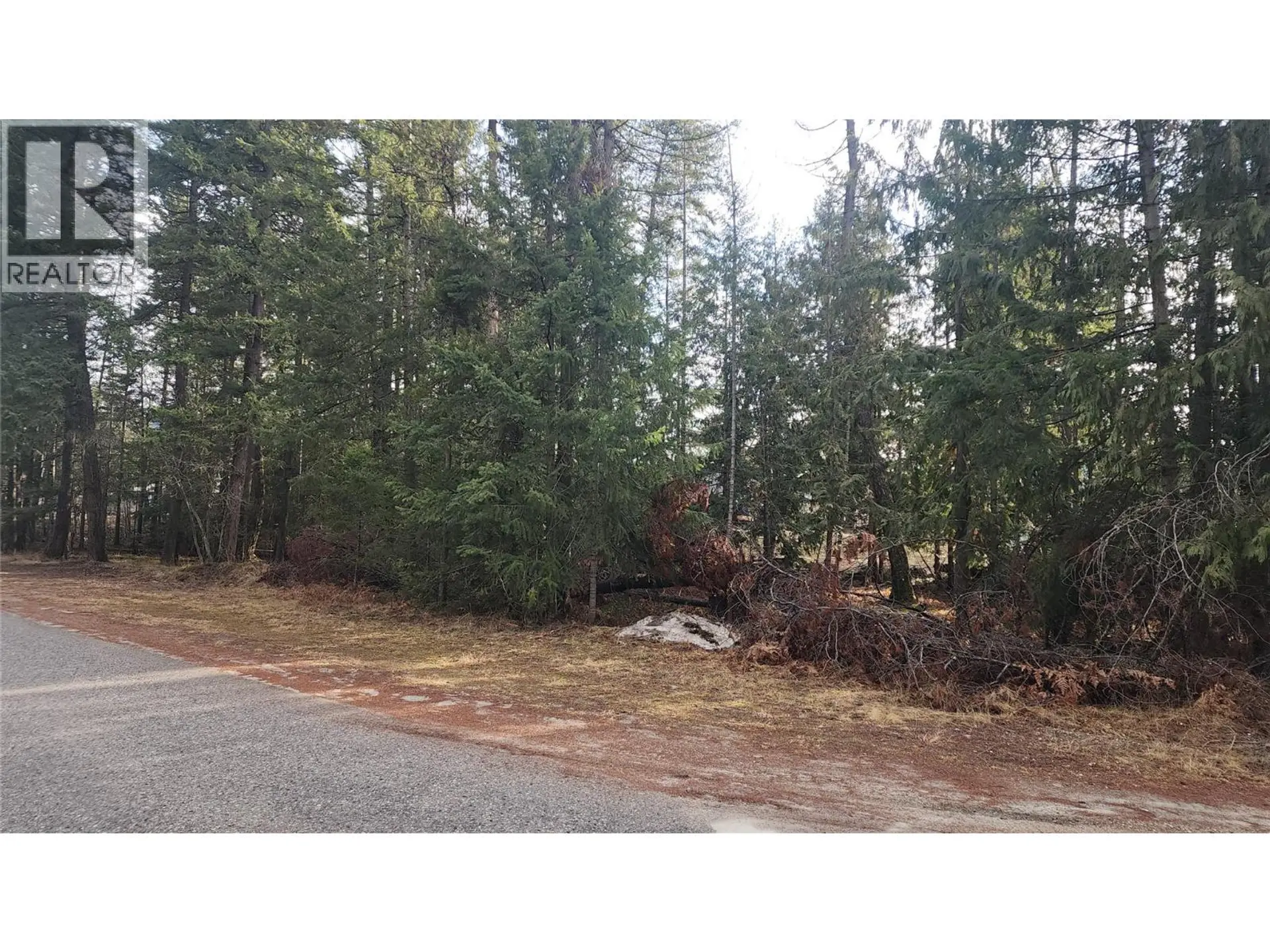 Property at 938 23 HIGHWAY, Nakusp, BC