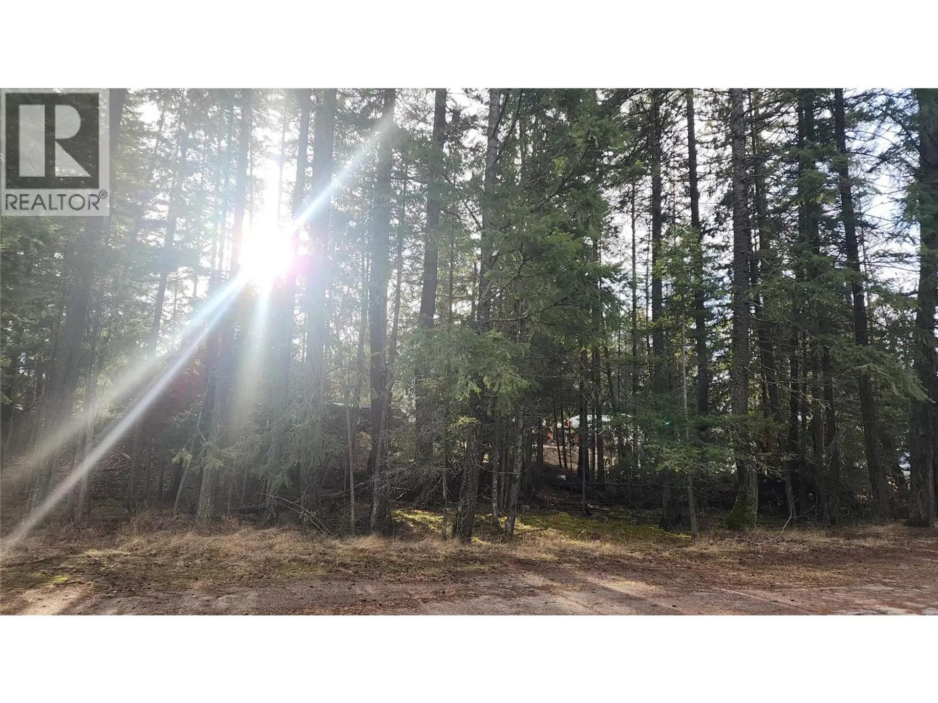 Property at 938 23 HIGHWAY, Nakusp, BC