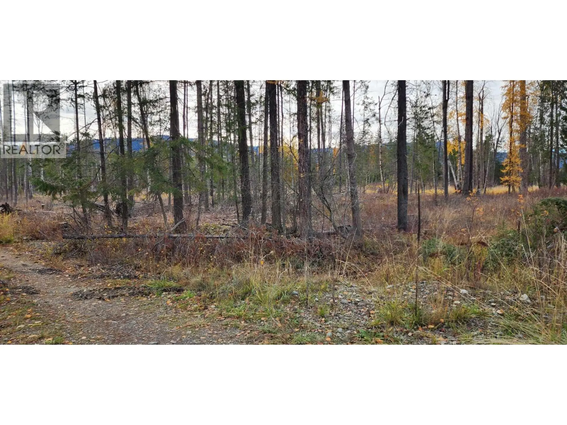 Property at 38 CAMPBELL ROAD, Cherryville, BC