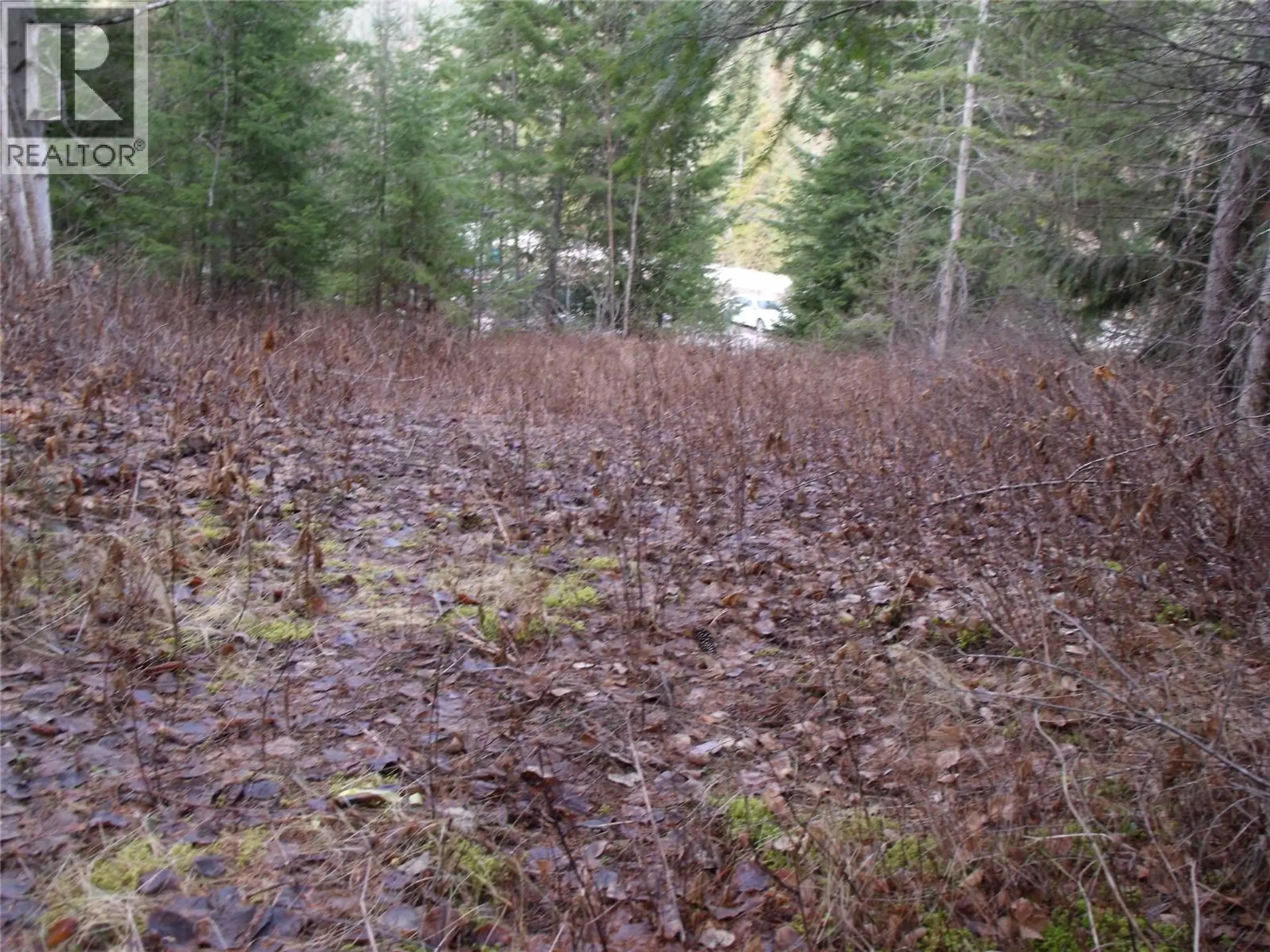Property at LOT 85 MOUNTVIEW DRIVE, Blind Bay, BC