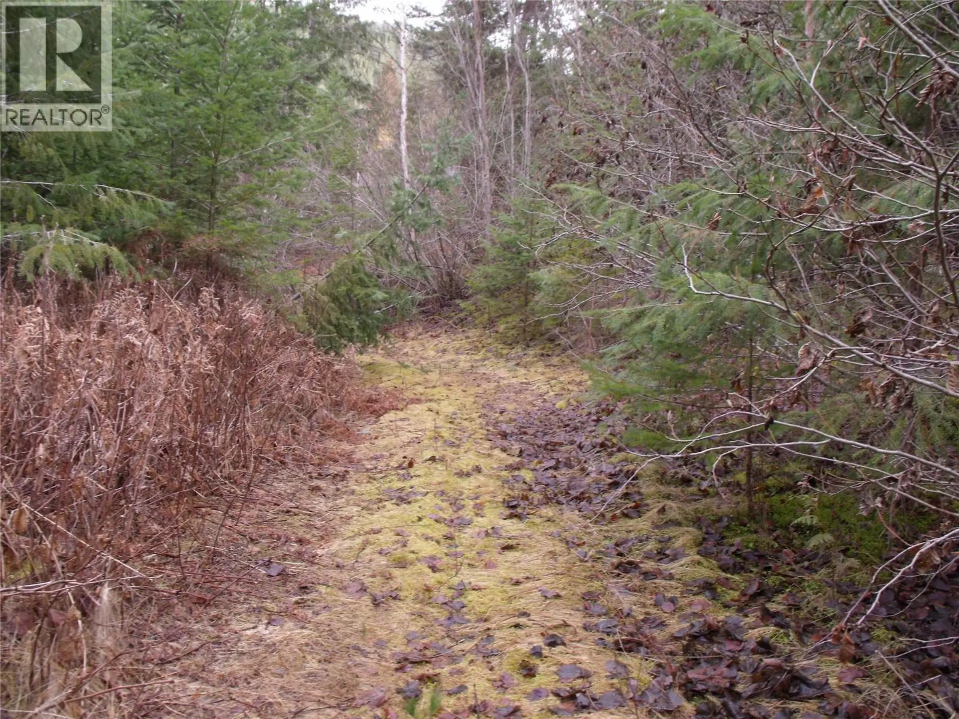 Property at LOT 85 MOUNTVIEW DRIVE, Blind Bay, BC