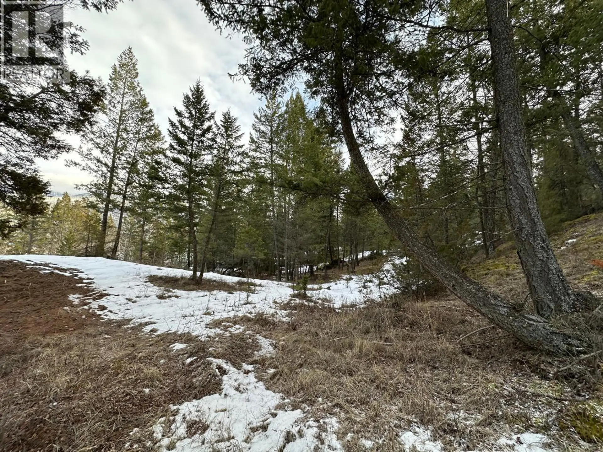 Property at LOT 38 ROSE TERRACE, Fairmont Hot Springs, BC