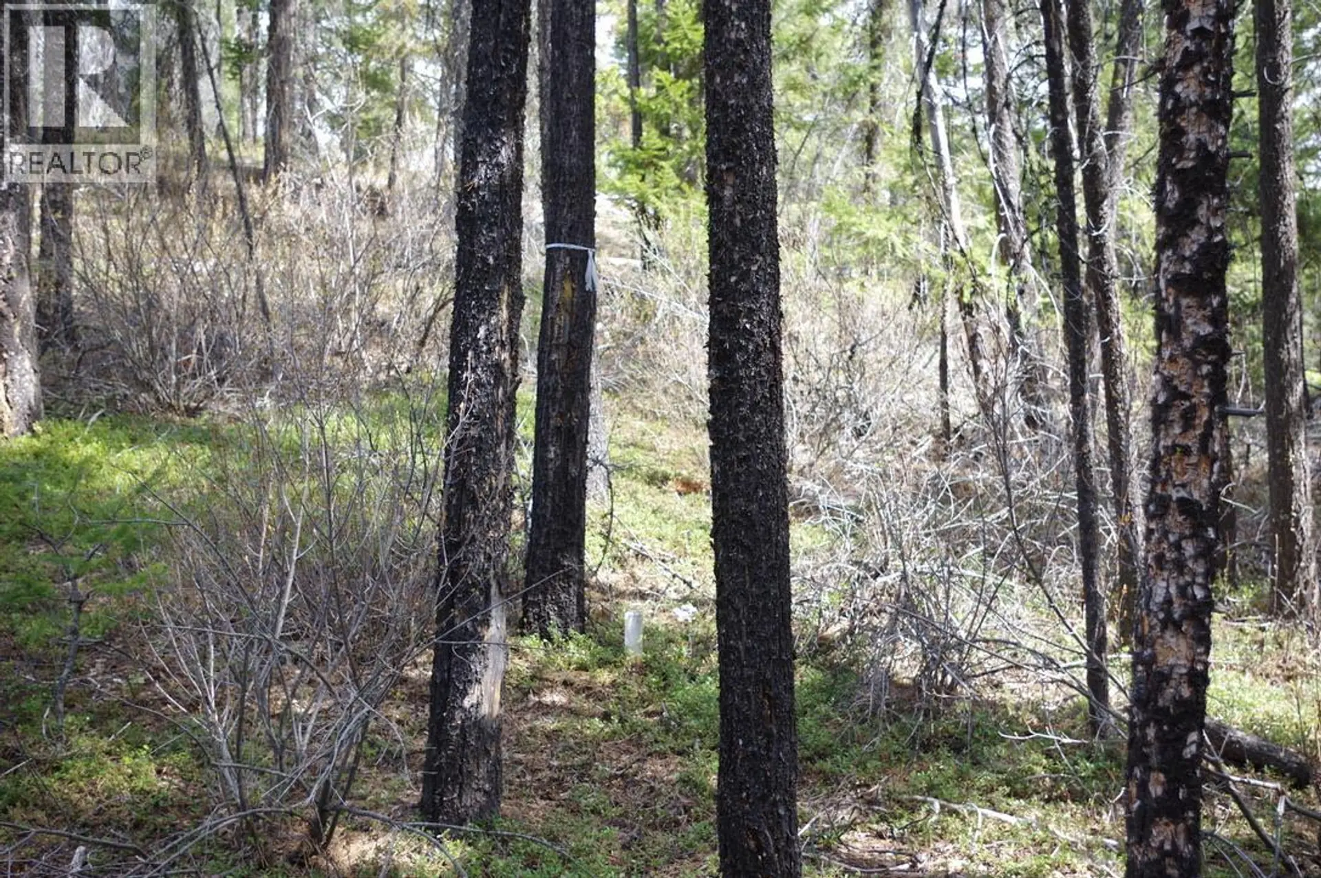 Property at 55 LAKEVIEW LOT A DL 5637 LAKEVIEW RD ROAD S, Gold Bridge, BC