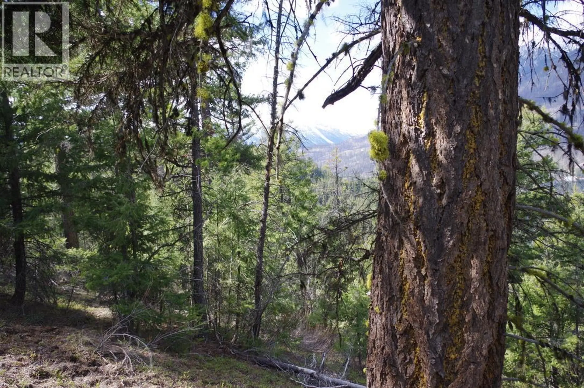 Property at 55 LAKEVIEW LOT A DL 5637 LAKEVIEW RD ROAD S, Gold Bridge, BC