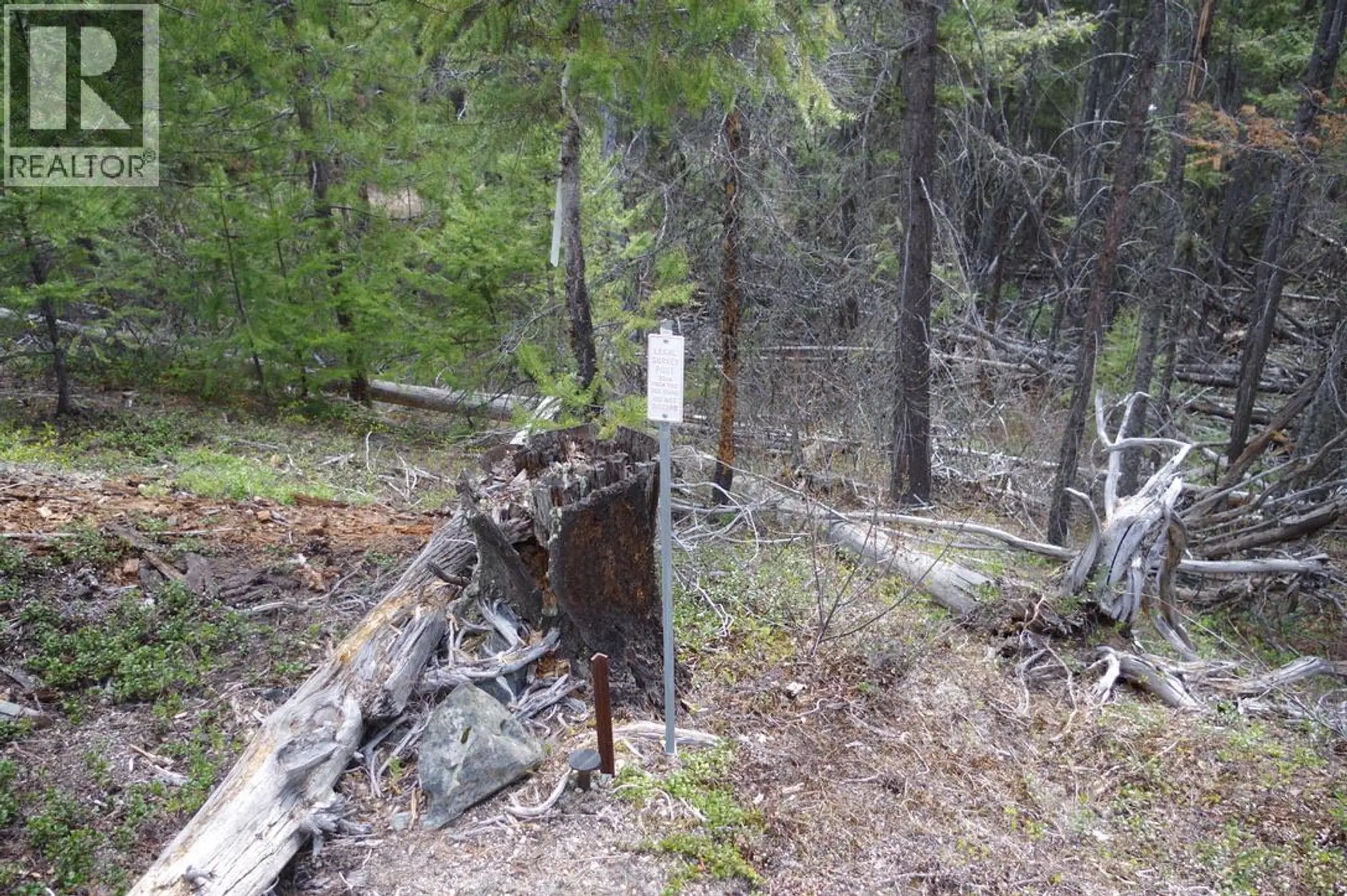 Property at 55 LAKEVIEW LOT A DL 5637 LAKEVIEW RD ROAD S, Gold Bridge, BC