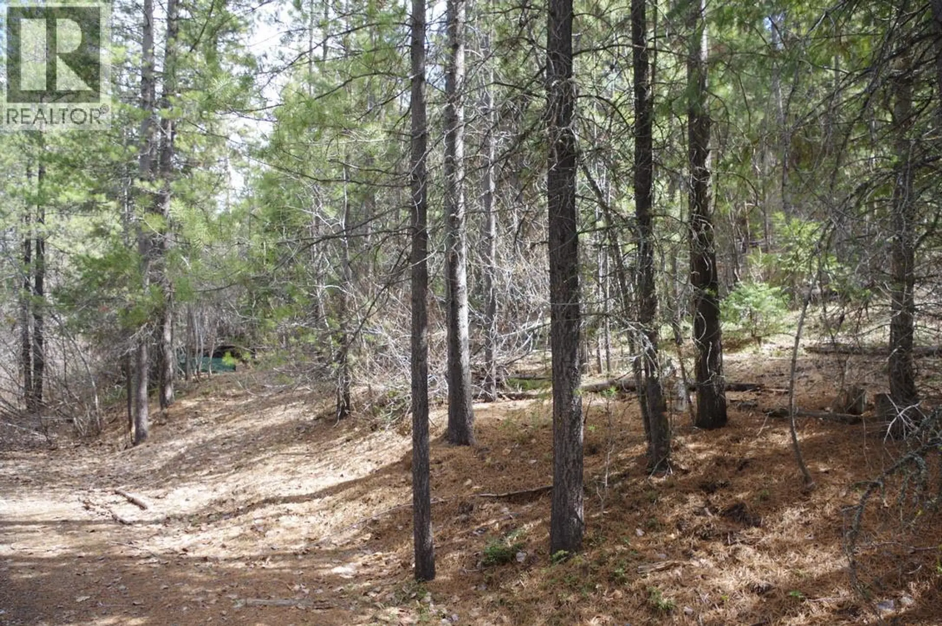 Property at 55 LAKEVIEW LOT A DL 5637 LAKEVIEW RD ROAD S, Gold Bridge, BC