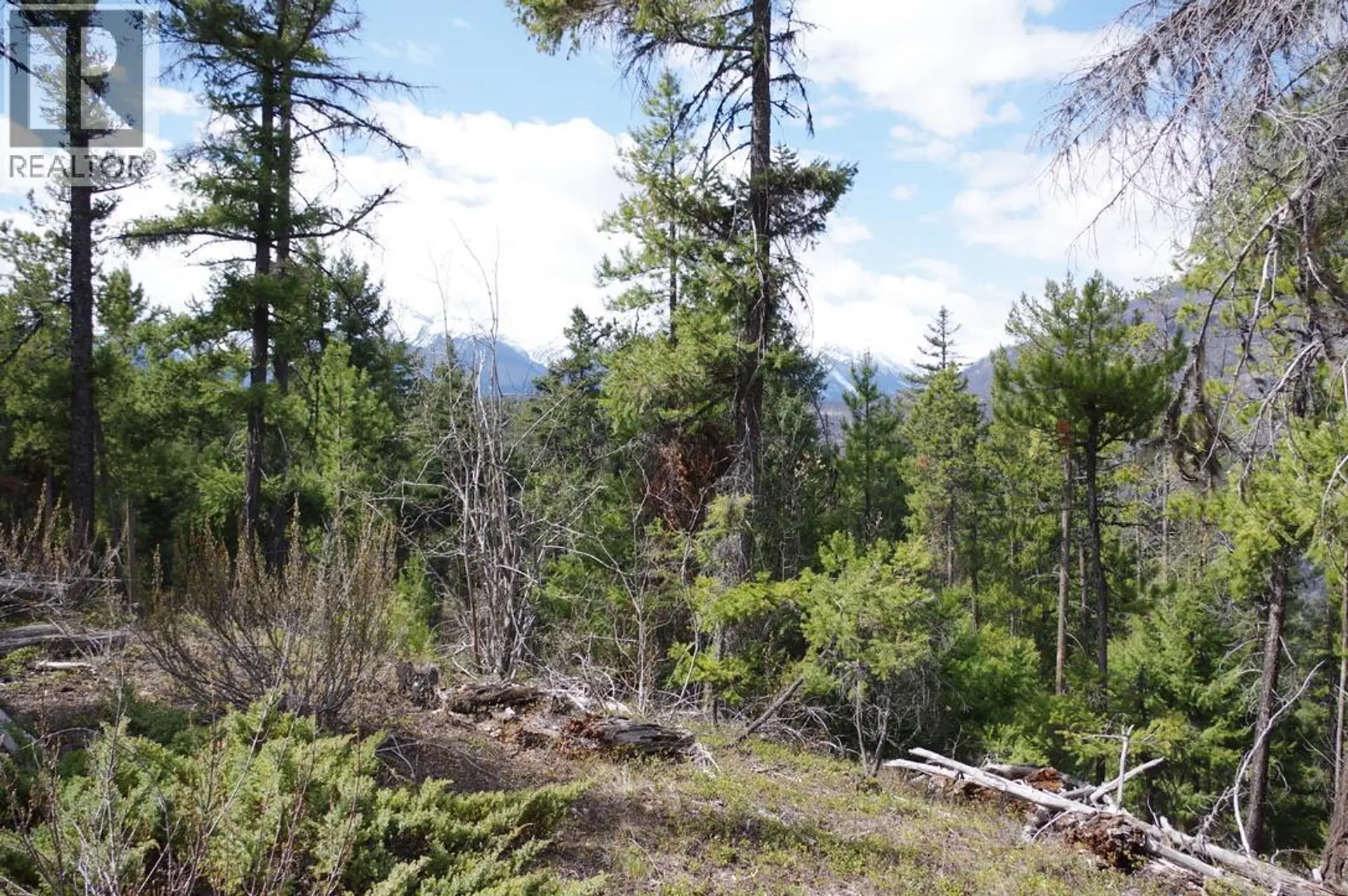 Property at 55 LAKEVIEW LOT A DL 5637 LAKEVIEW RD ROAD S, Gold Bridge, BC