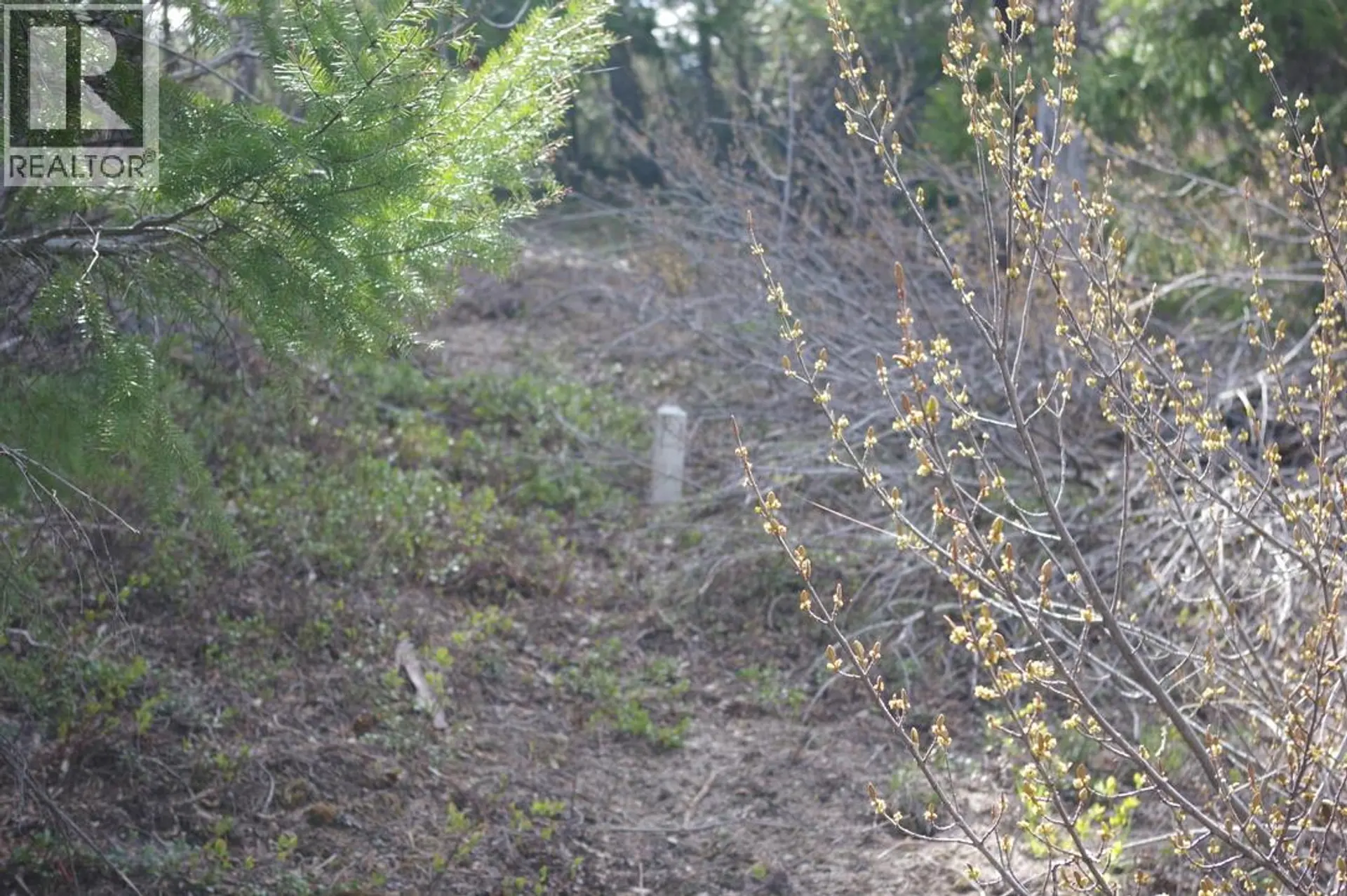 Property at 55 LAKEVIEW LOT A DL 5637 LAKEVIEW RD ROAD S, Gold Bridge, BC