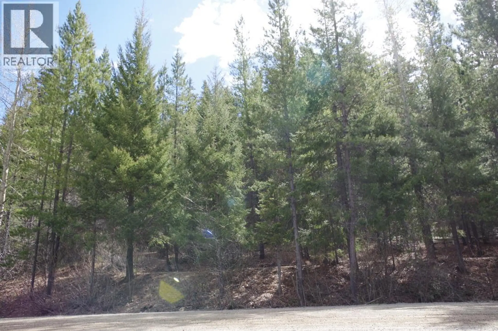 Property at 55 LAKEVIEW LOT A DL 5637 LAKEVIEW RD ROAD S, Gold Bridge, BC