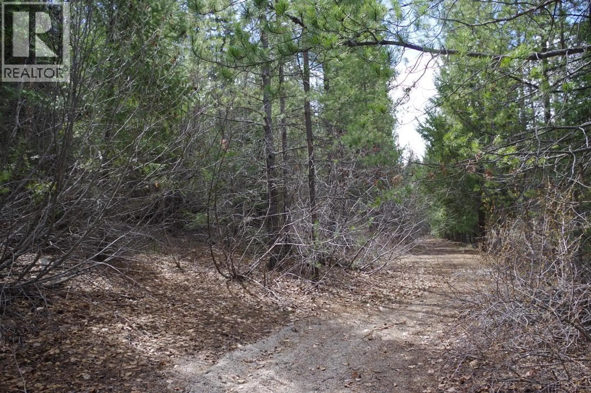 Property at 55 LAKEVIEW LOT A DL 5637 LAKEVIEW RD ROAD S, Gold Bridge, BC