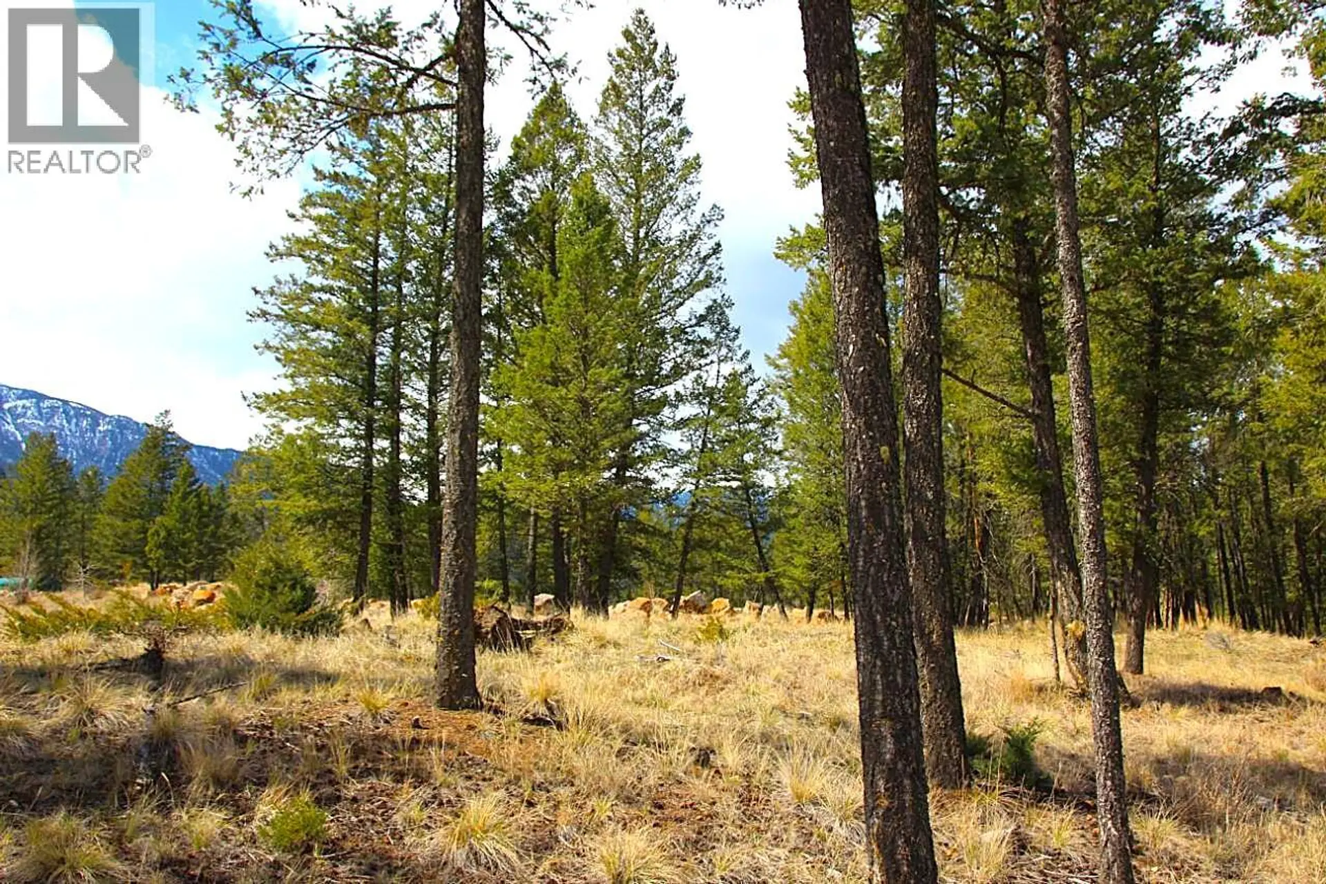 Property at 2476 CASTLESTONE DRIVE, Invermere, BC