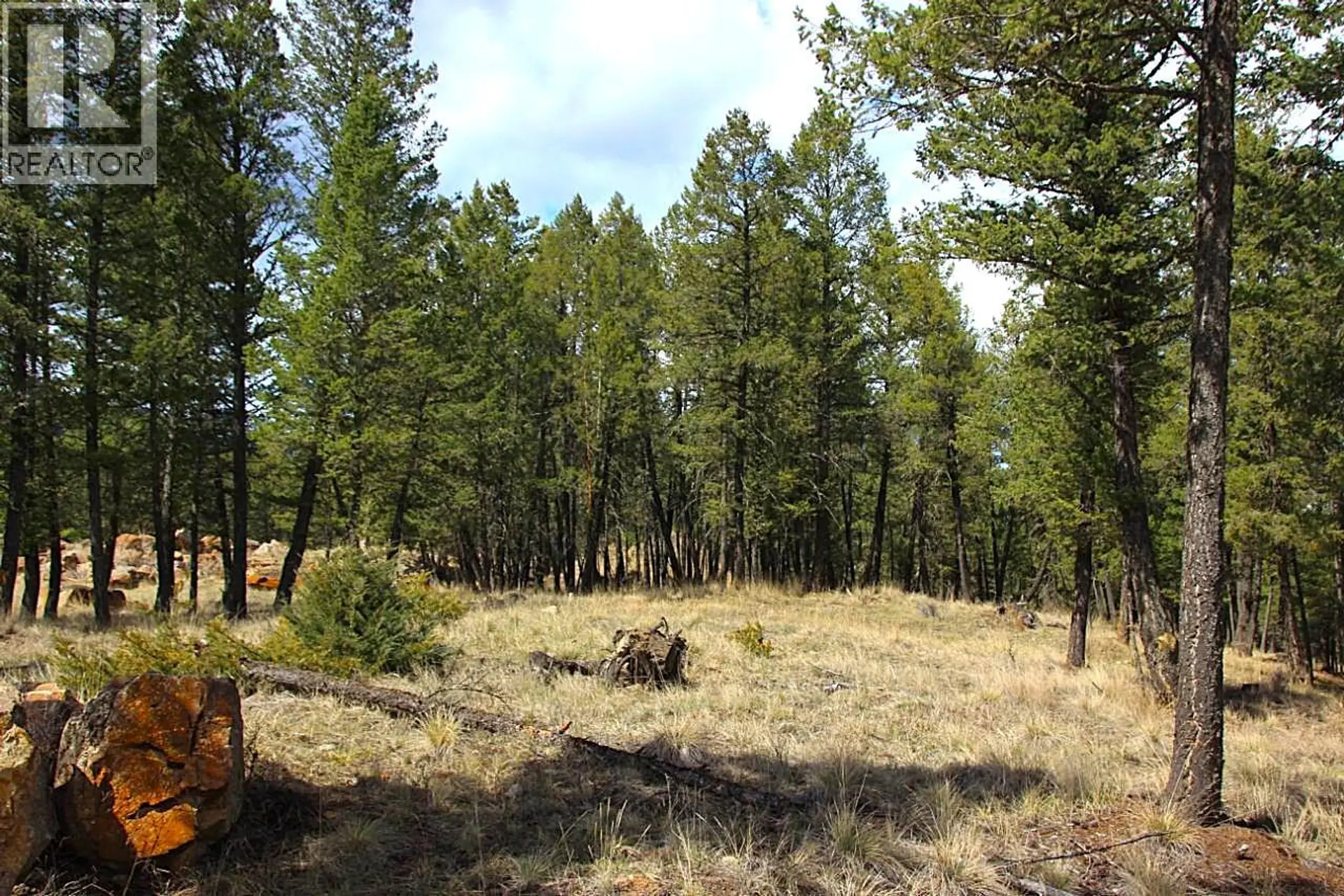 Property at 2476 CASTLESTONE DRIVE, Invermere, BC