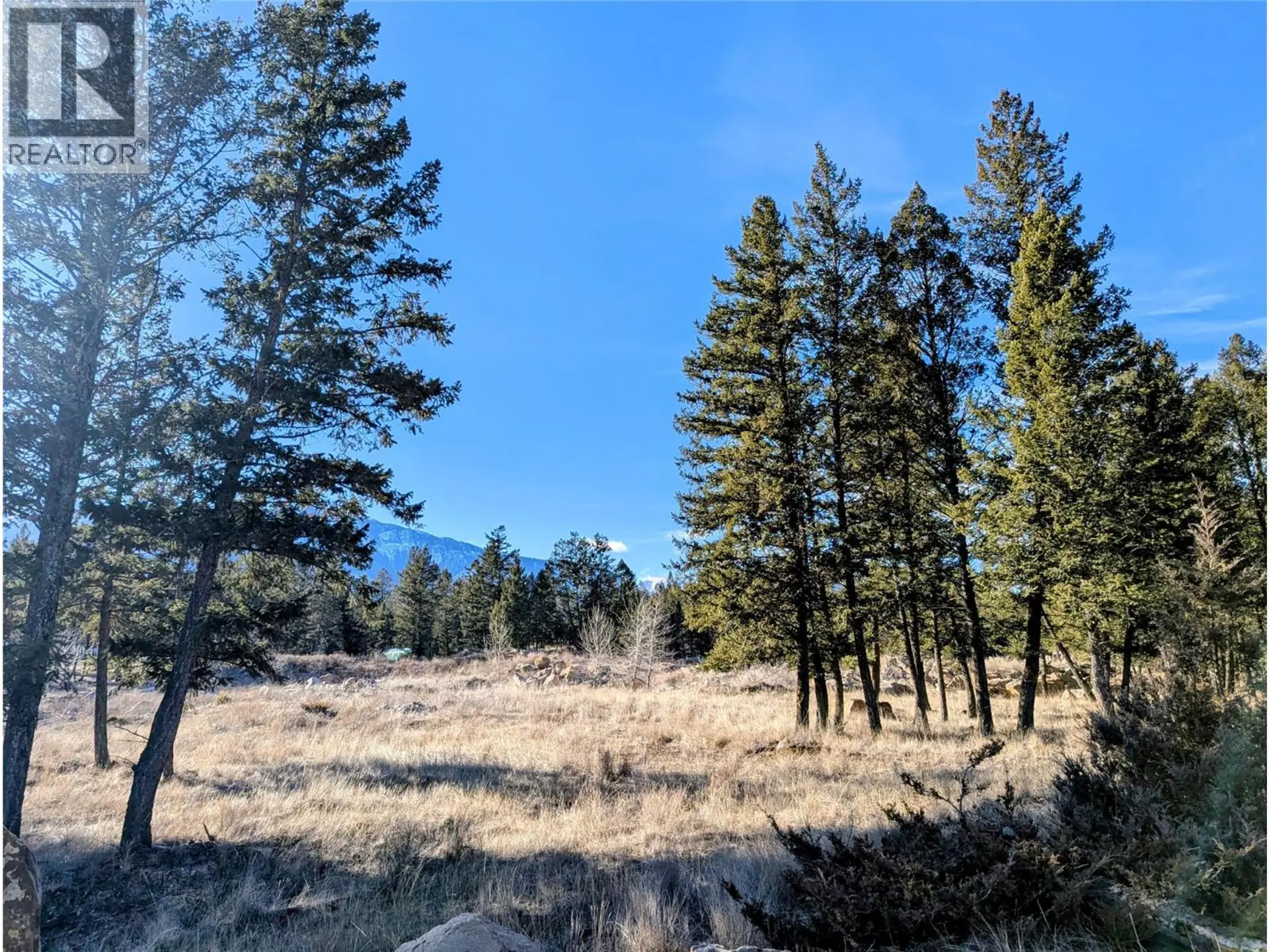 Property at 2476 CASTLESTONE DRIVE, Invermere, BC