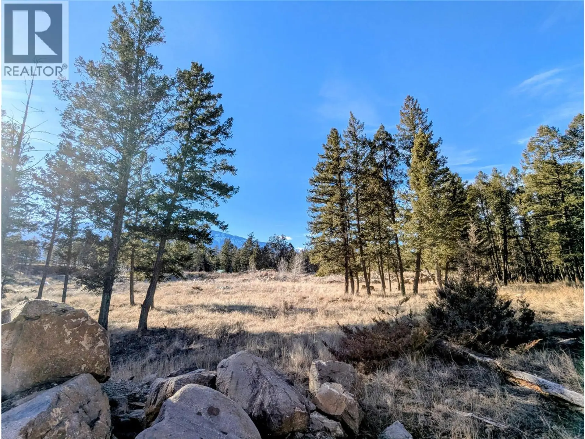 Property at 2476 CASTLESTONE DRIVE, Invermere, BC