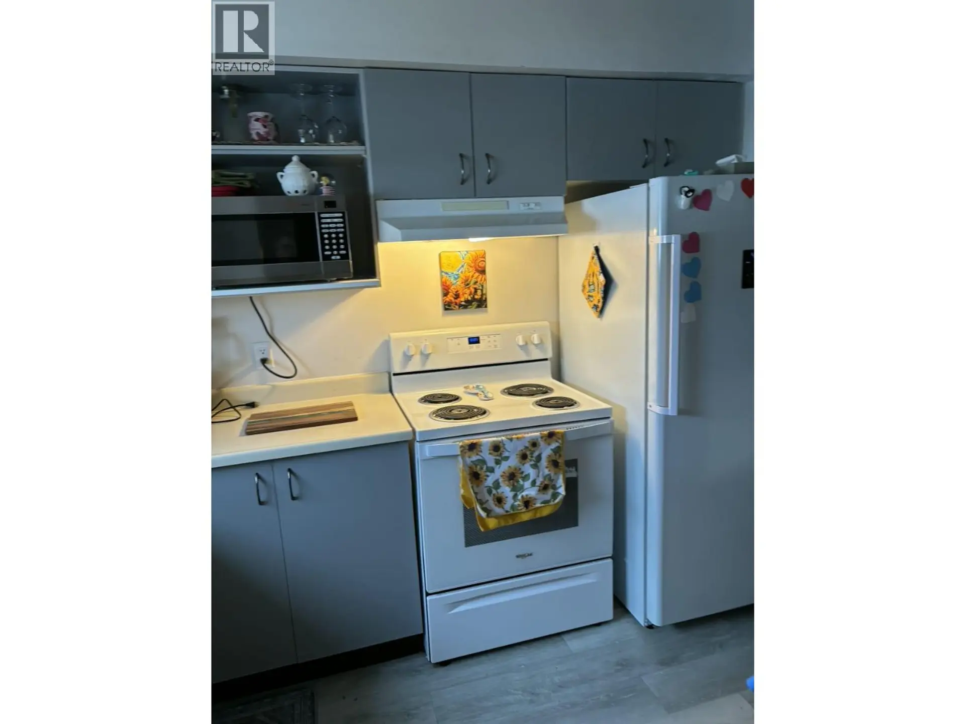 Property at 224 SPIEKER AVENUE, Tumbler Ridge, BC