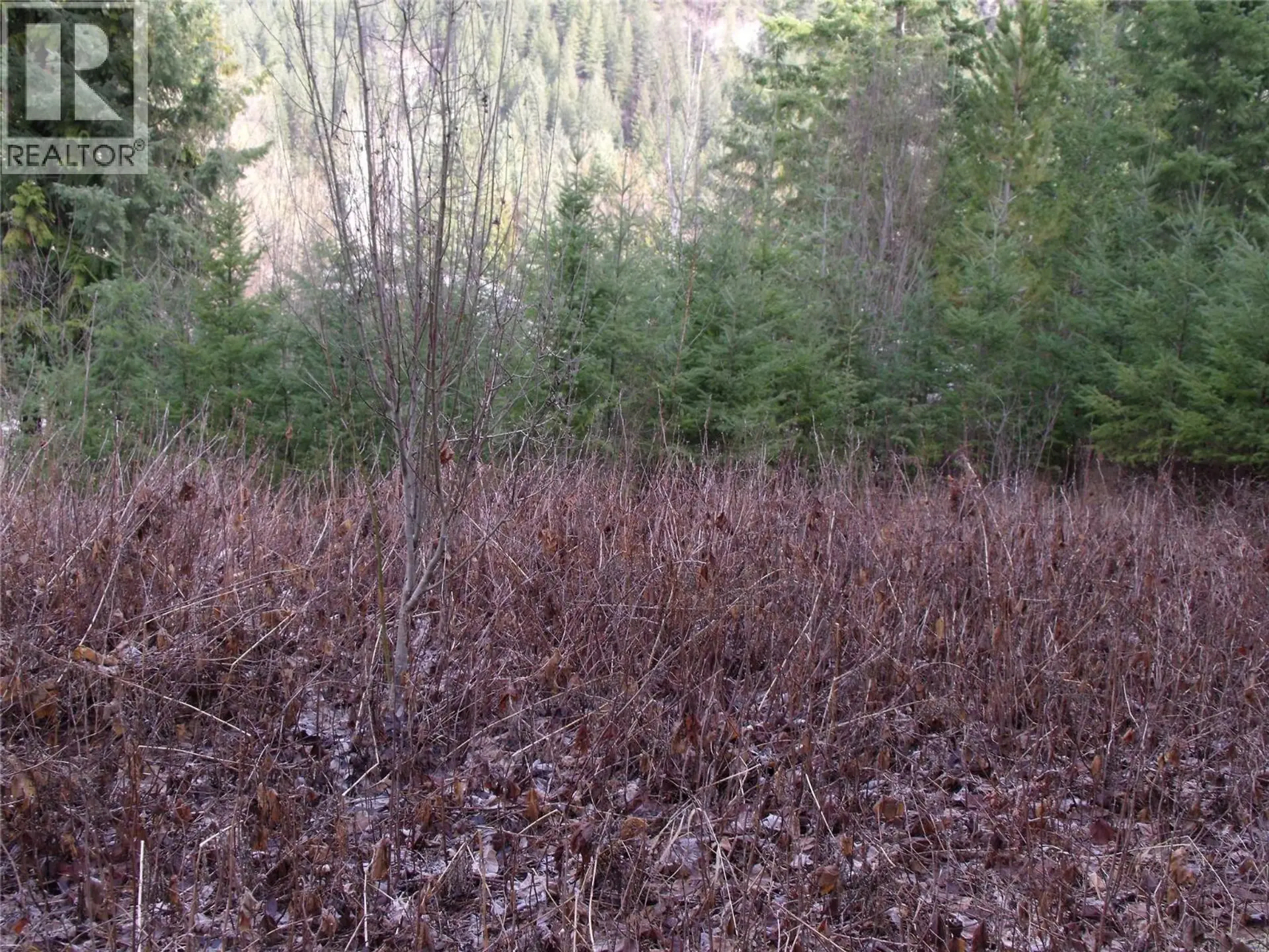 Property at LOT 84 MOUNTVIEW DRIVE, Blind Bay, BC