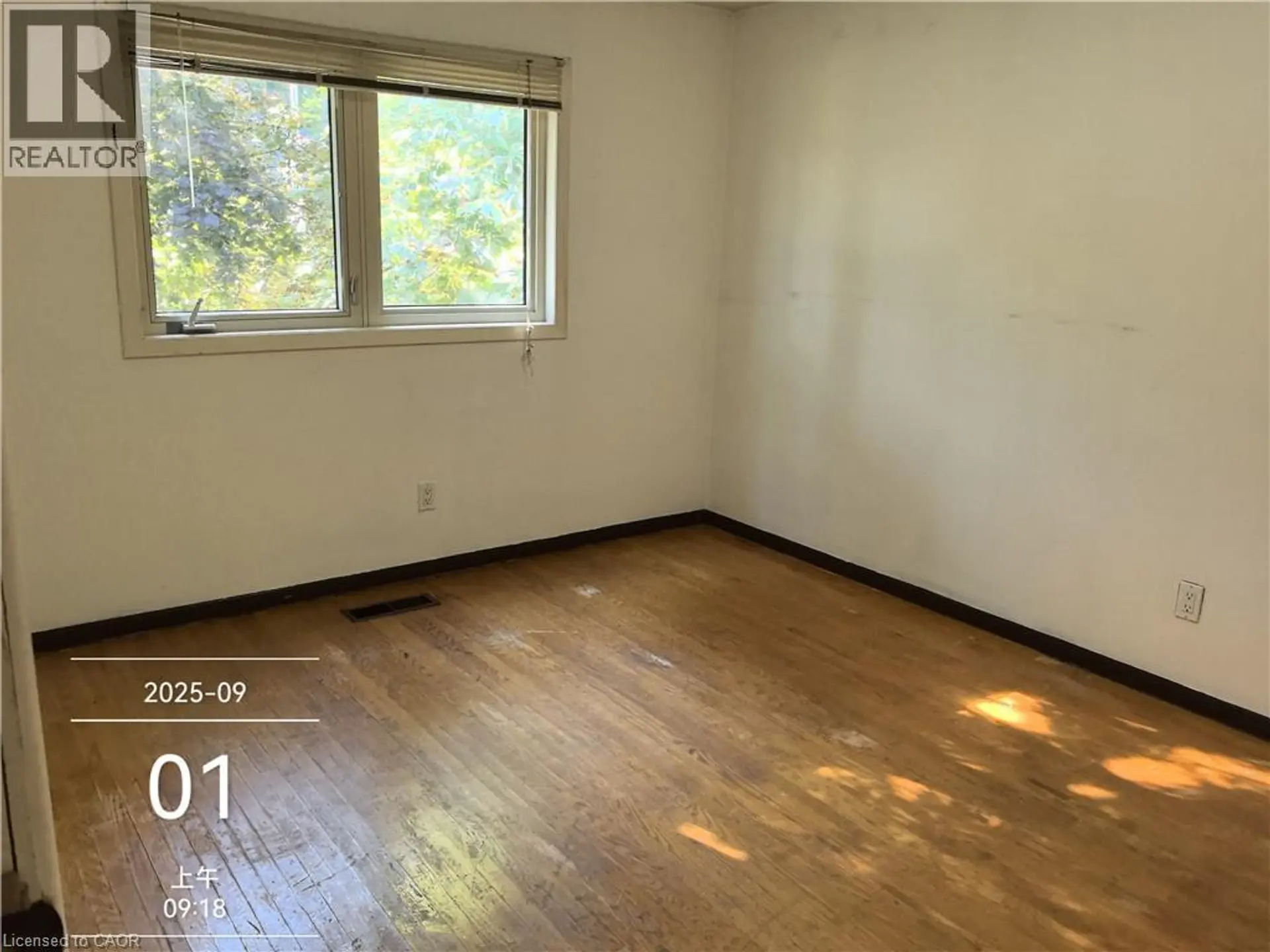 134 GREENBRIER Drive - Image 11