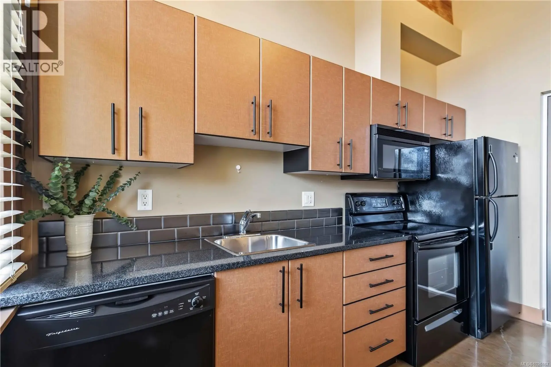 Property at #214 599 PANDORA AVE, Victoria, BC