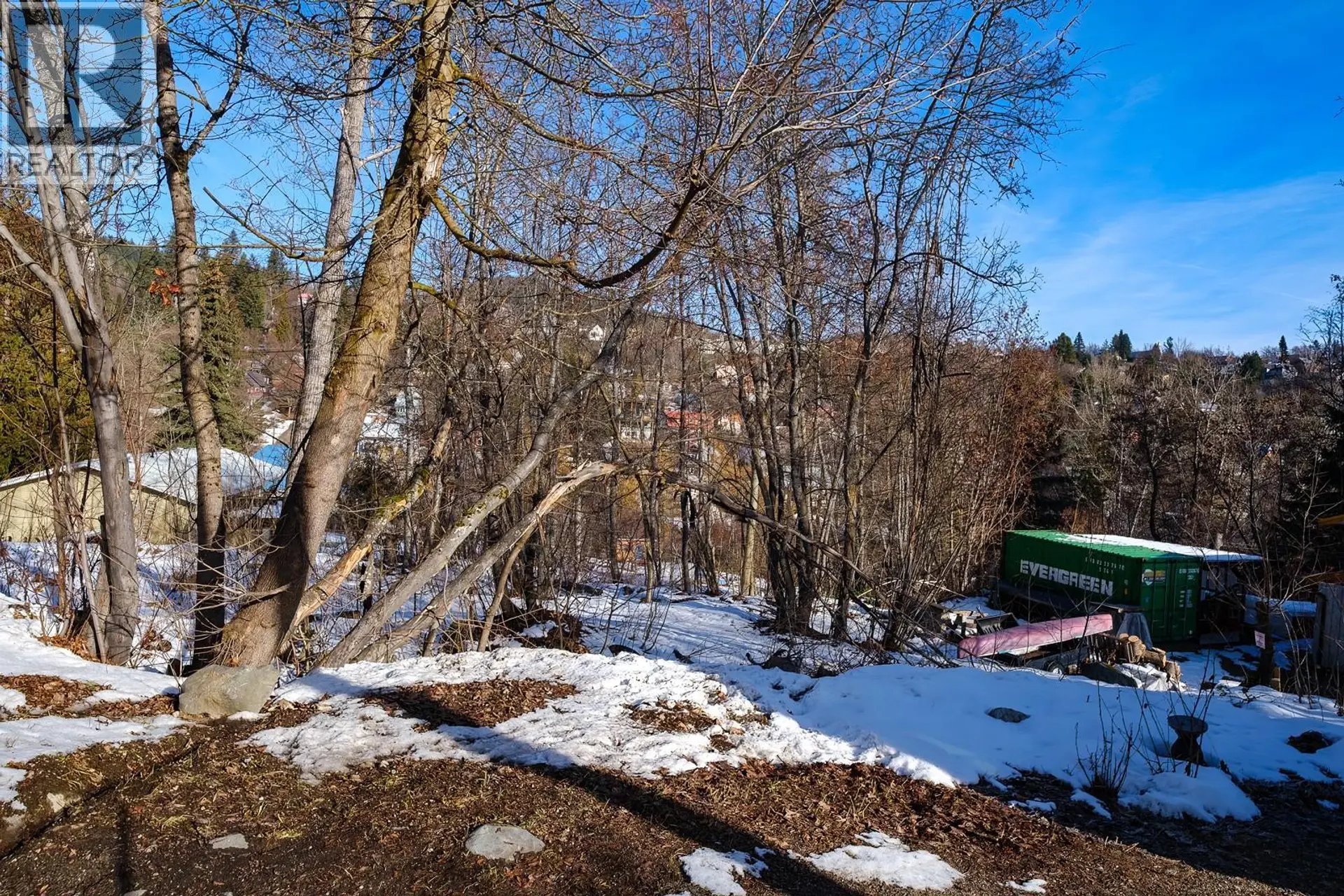 Property at 1920 UNION AVENUE, Rossland, BC