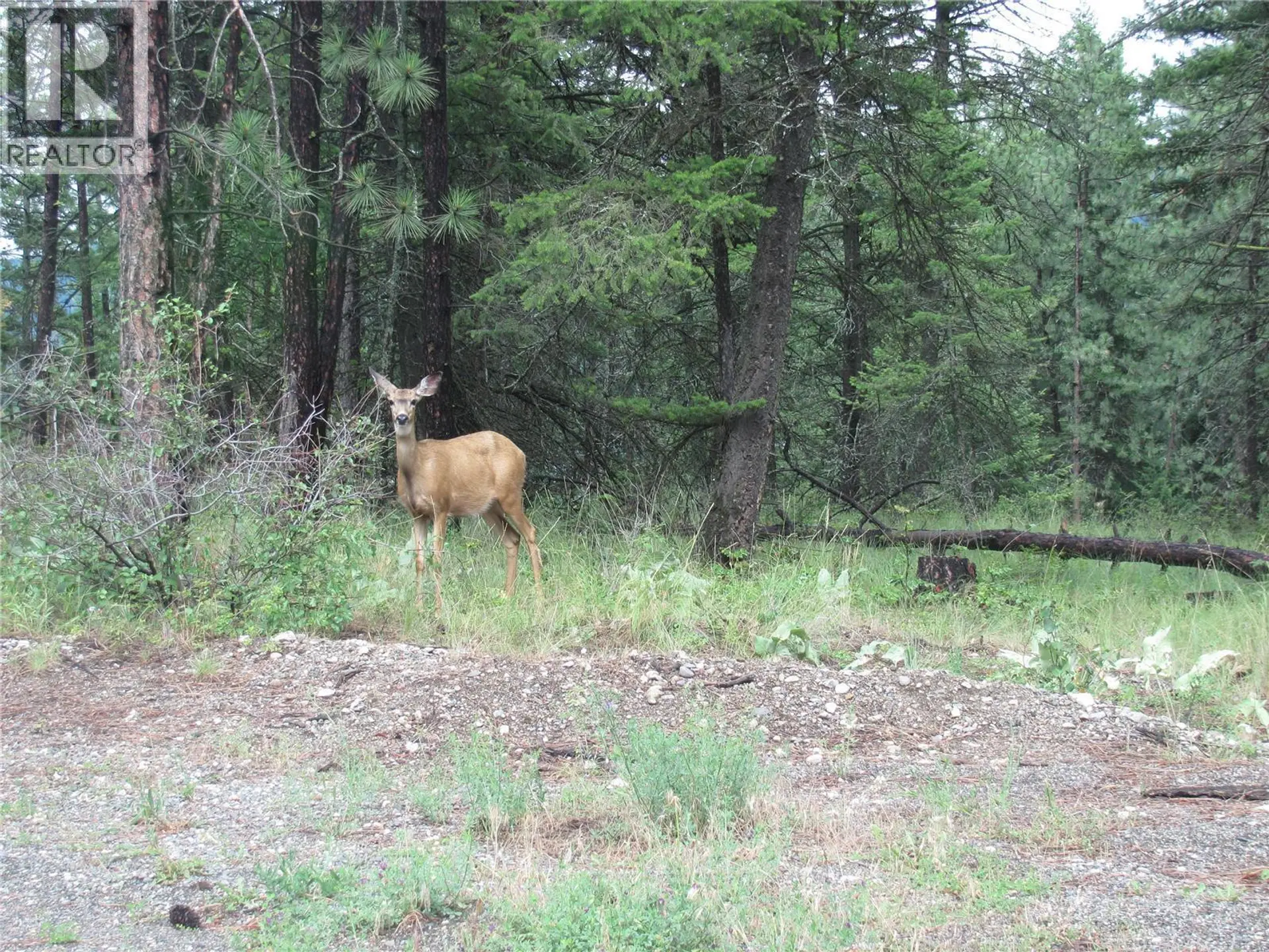 Property at 680 FAIRBRIDGE ROAD, Fintry, BC