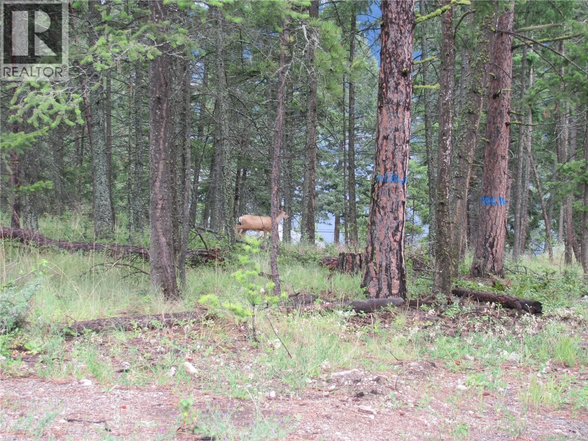 Property at 680 FAIRBRIDGE ROAD, Fintry, BC