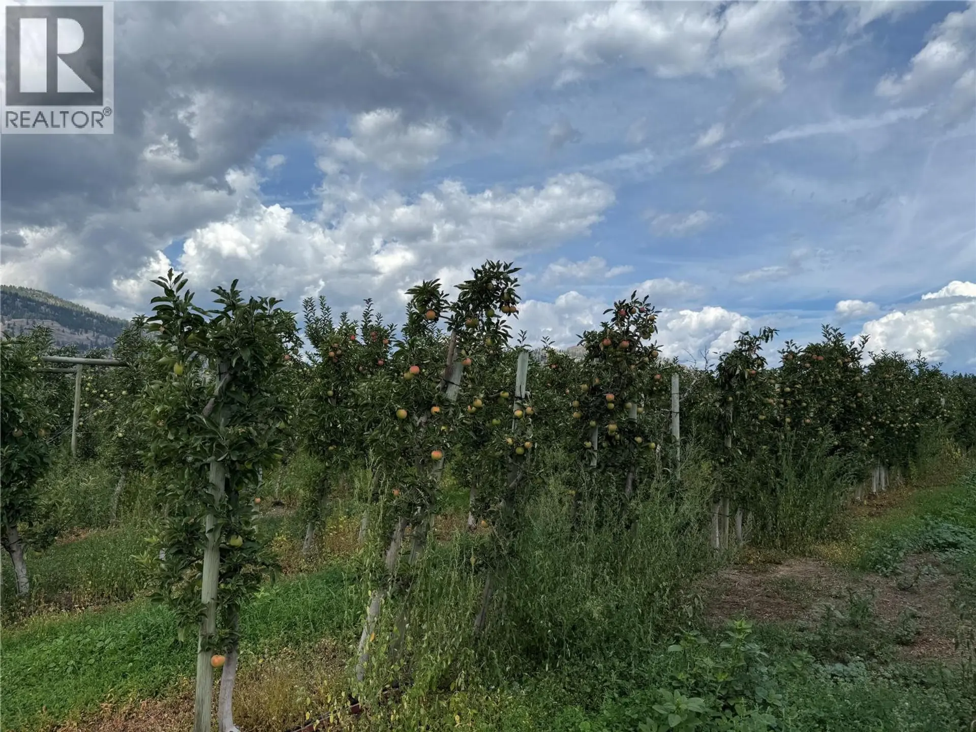 Property at 15812 LOGIE ROAD, Summerland, BC