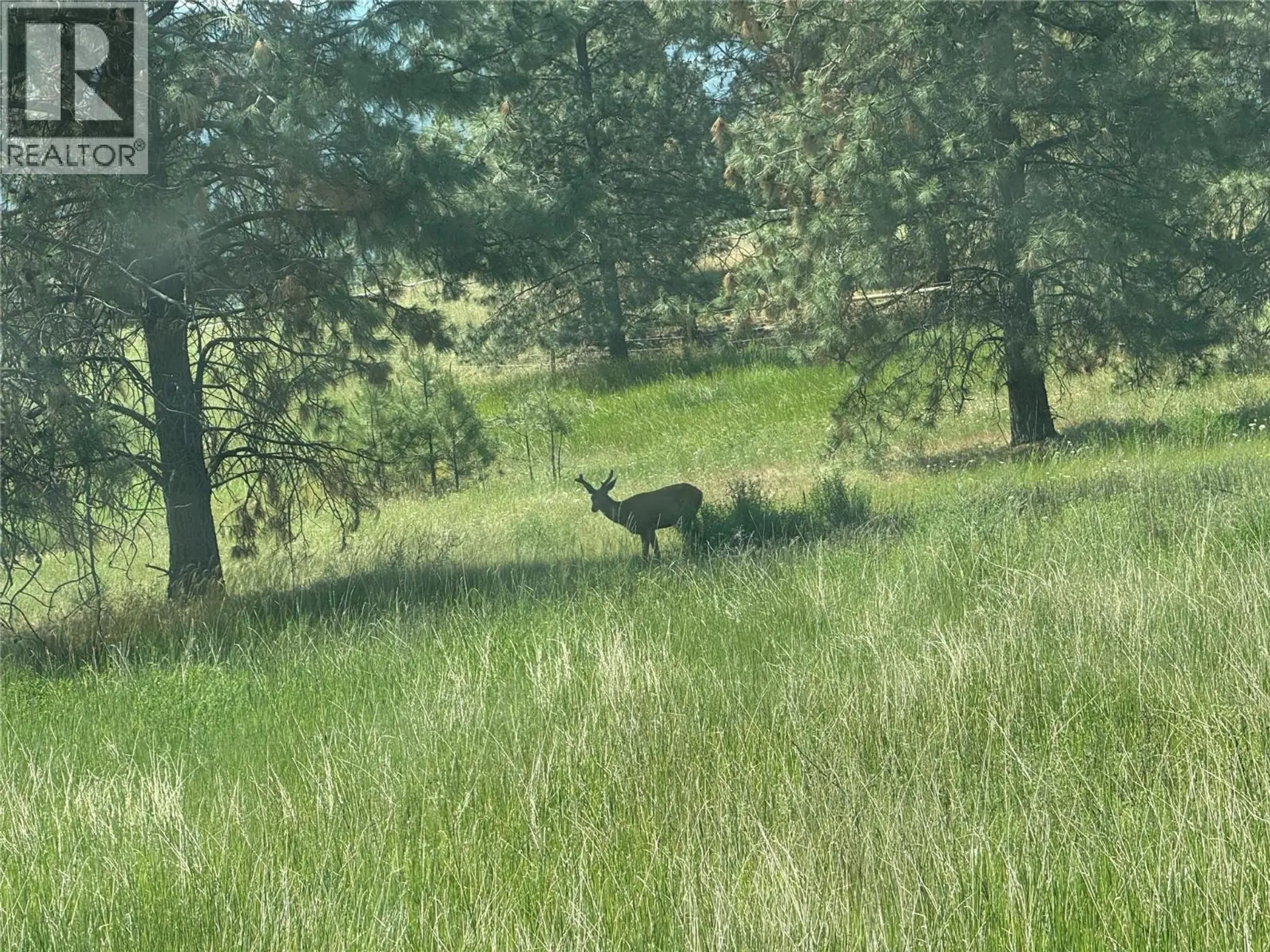 Property at 4755 KAMLOOPS SHUSWAP ROAD, Kamloops, BC