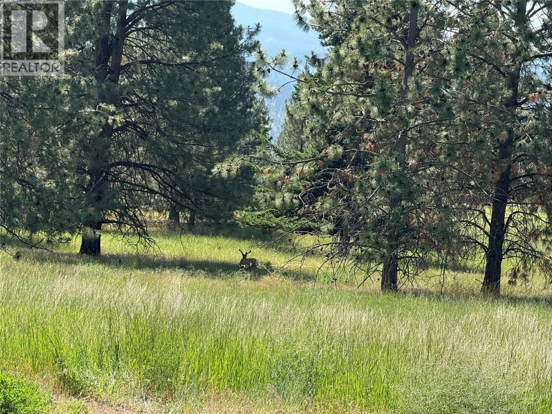 Property at 4755 KAMLOOPS SHUSWAP ROAD, Kamloops, BC