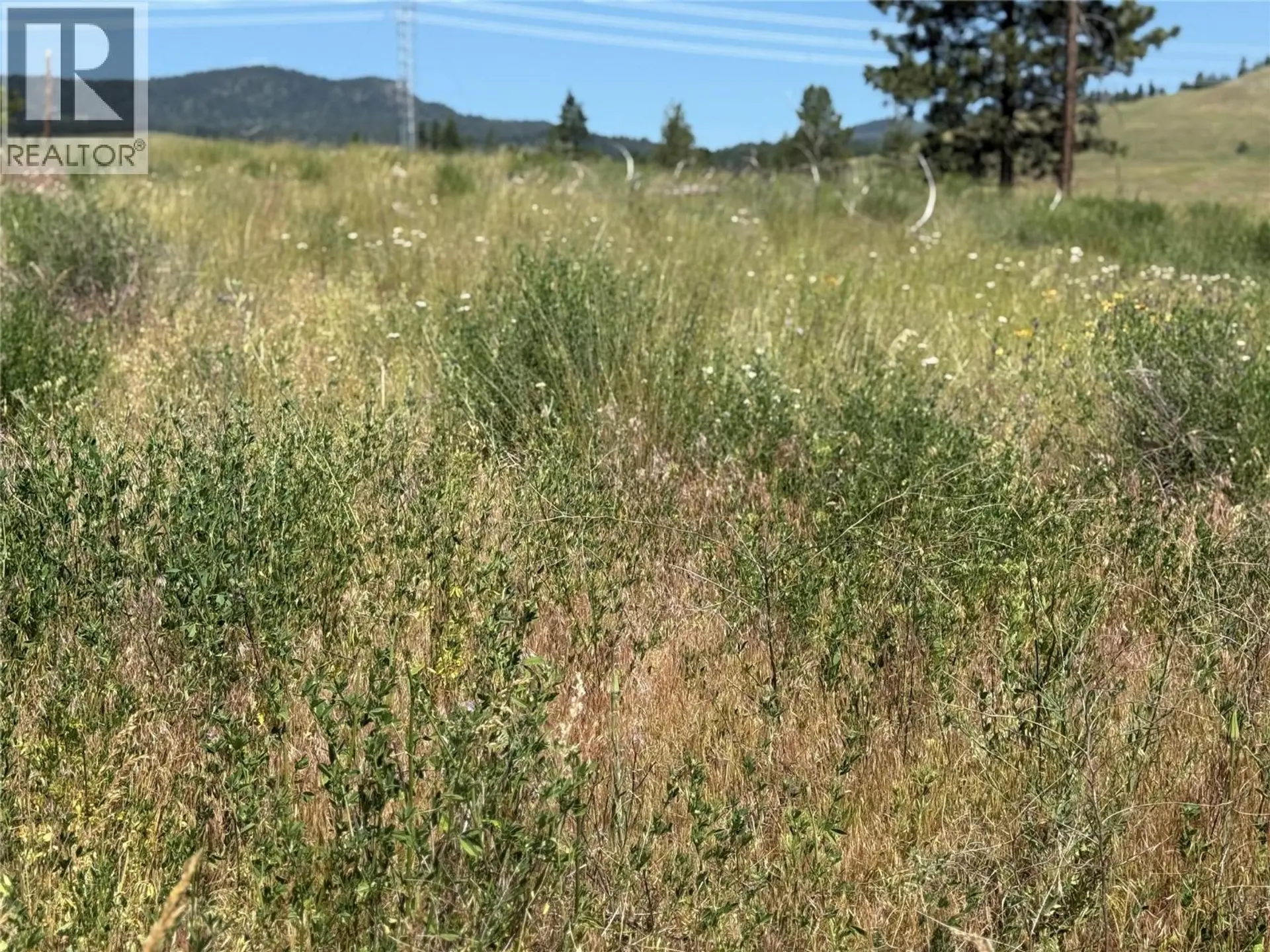 Property at WHISKERS HILL ROAD LOT# 2, Pritchard, BC