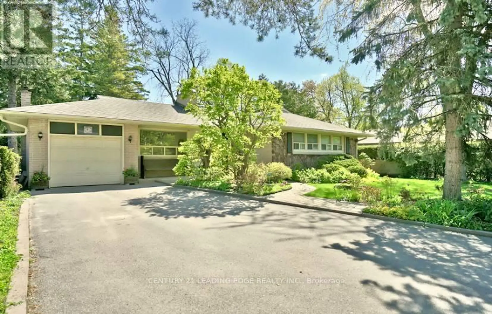 91 LUCAS STREET - Image 1