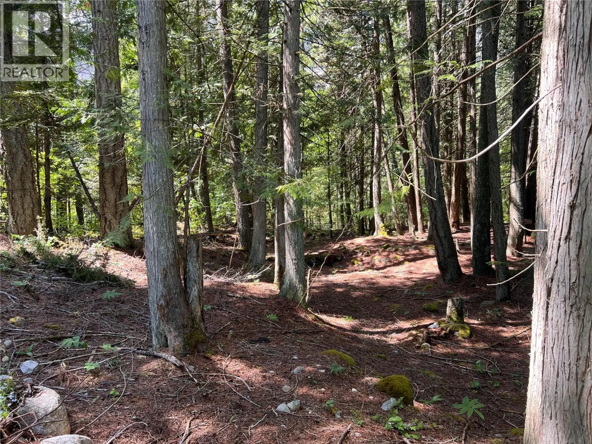 Property at 611 SLOCAN STREET, Slocan, BC