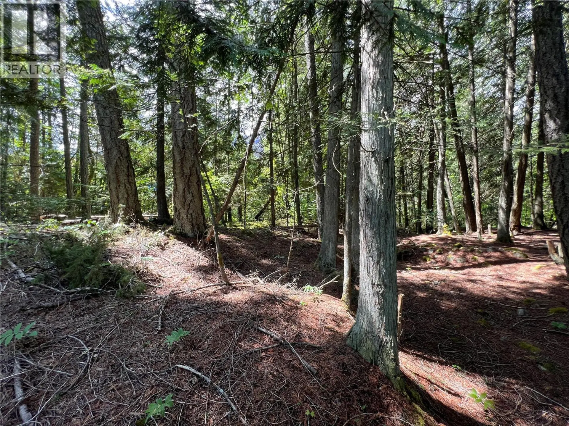 Property at 611 SLOCAN STREET, Slocan, BC