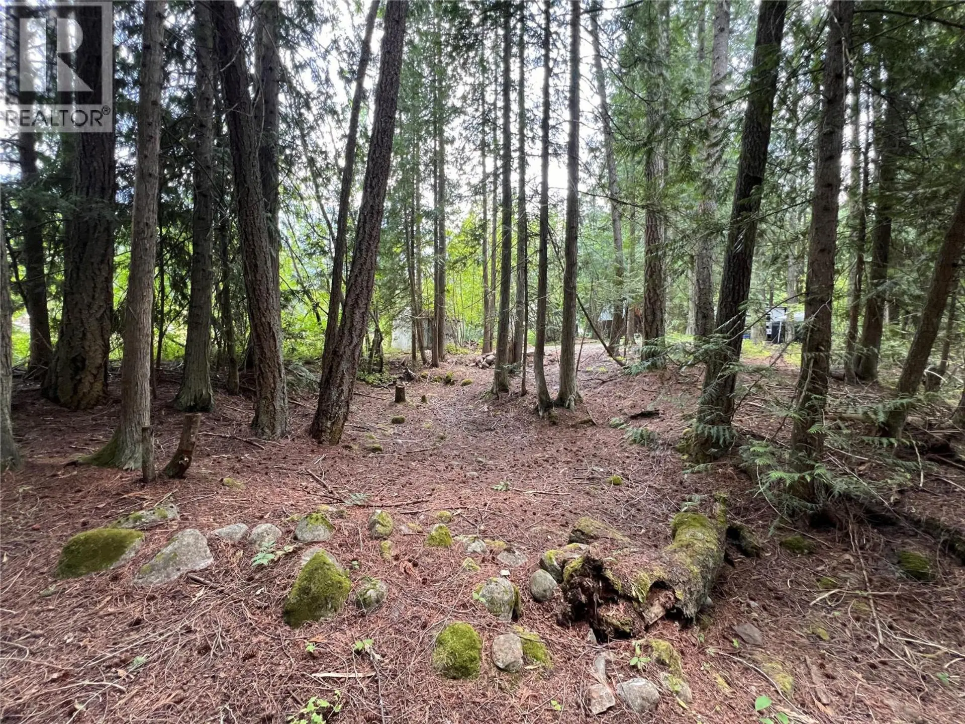 Property at 611 SLOCAN STREET, Slocan, BC