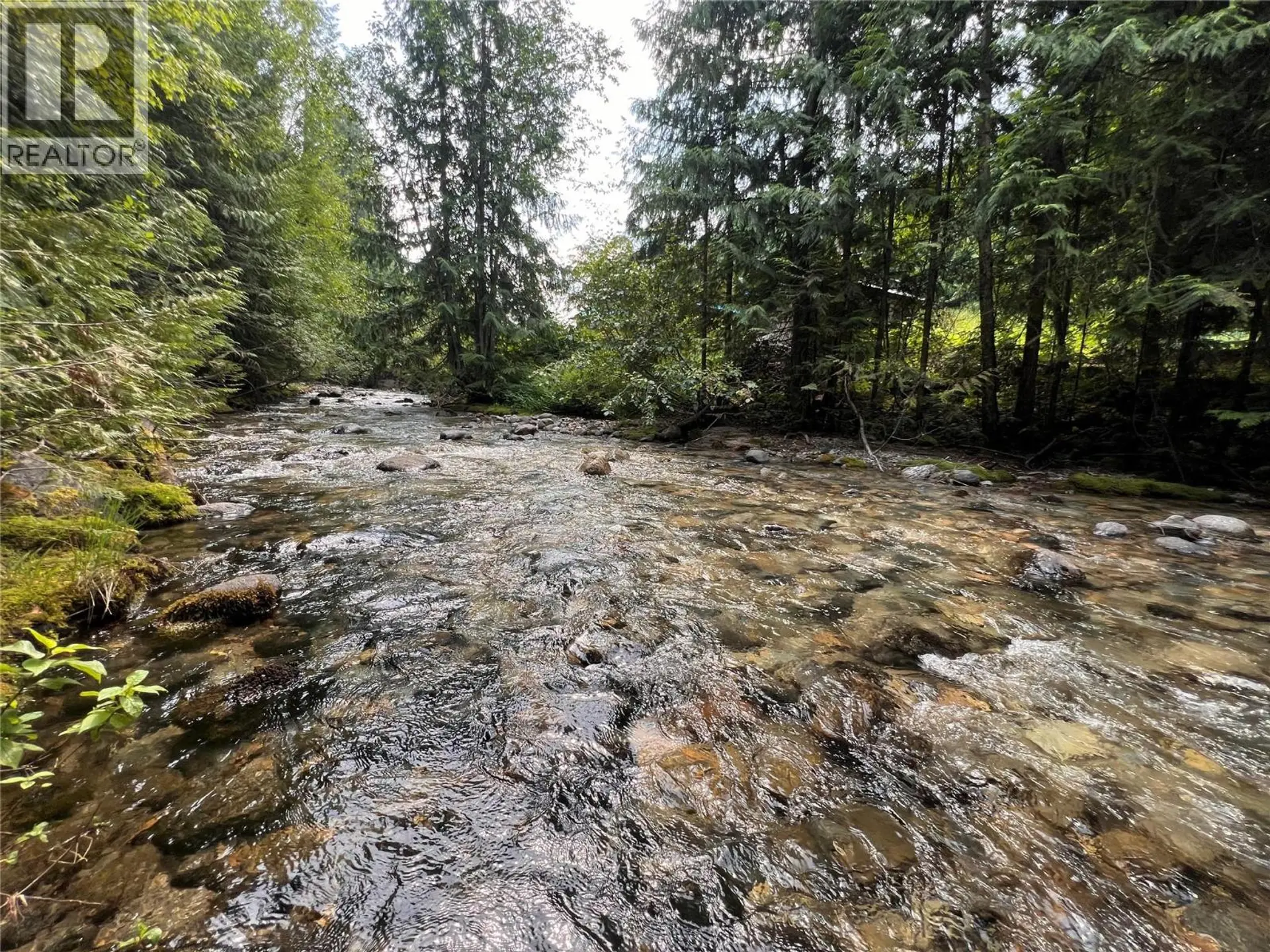 Property at 611 SLOCAN STREET, Slocan, BC