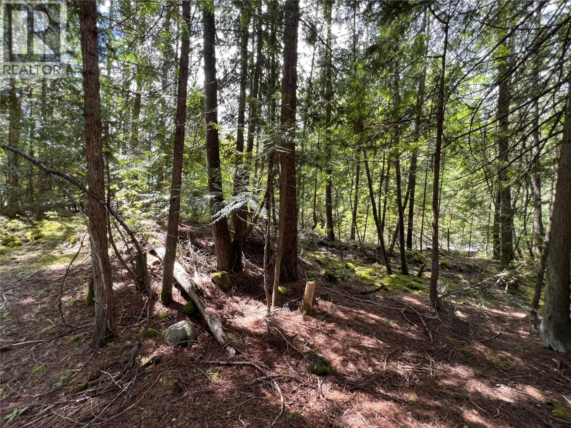 Property at 611 SLOCAN STREET, Slocan, BC