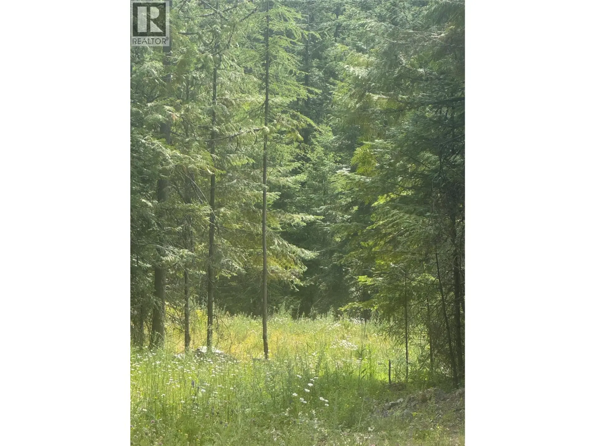 Property at 4018 FUMOT PLACE, Bonnington, BC