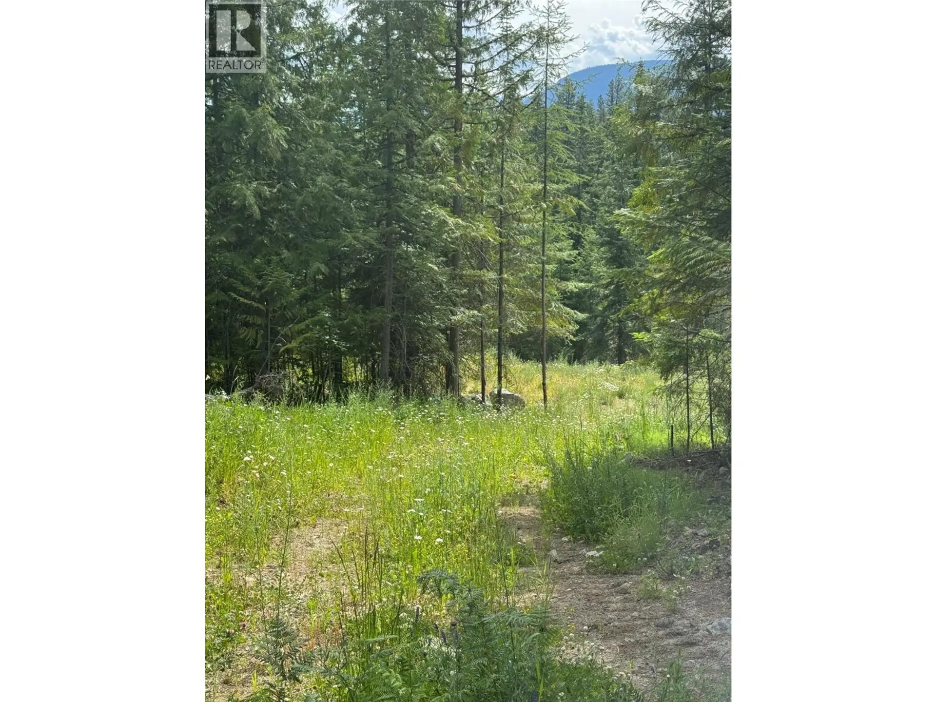 Property at 4018 FUMOT PLACE, Bonnington, BC