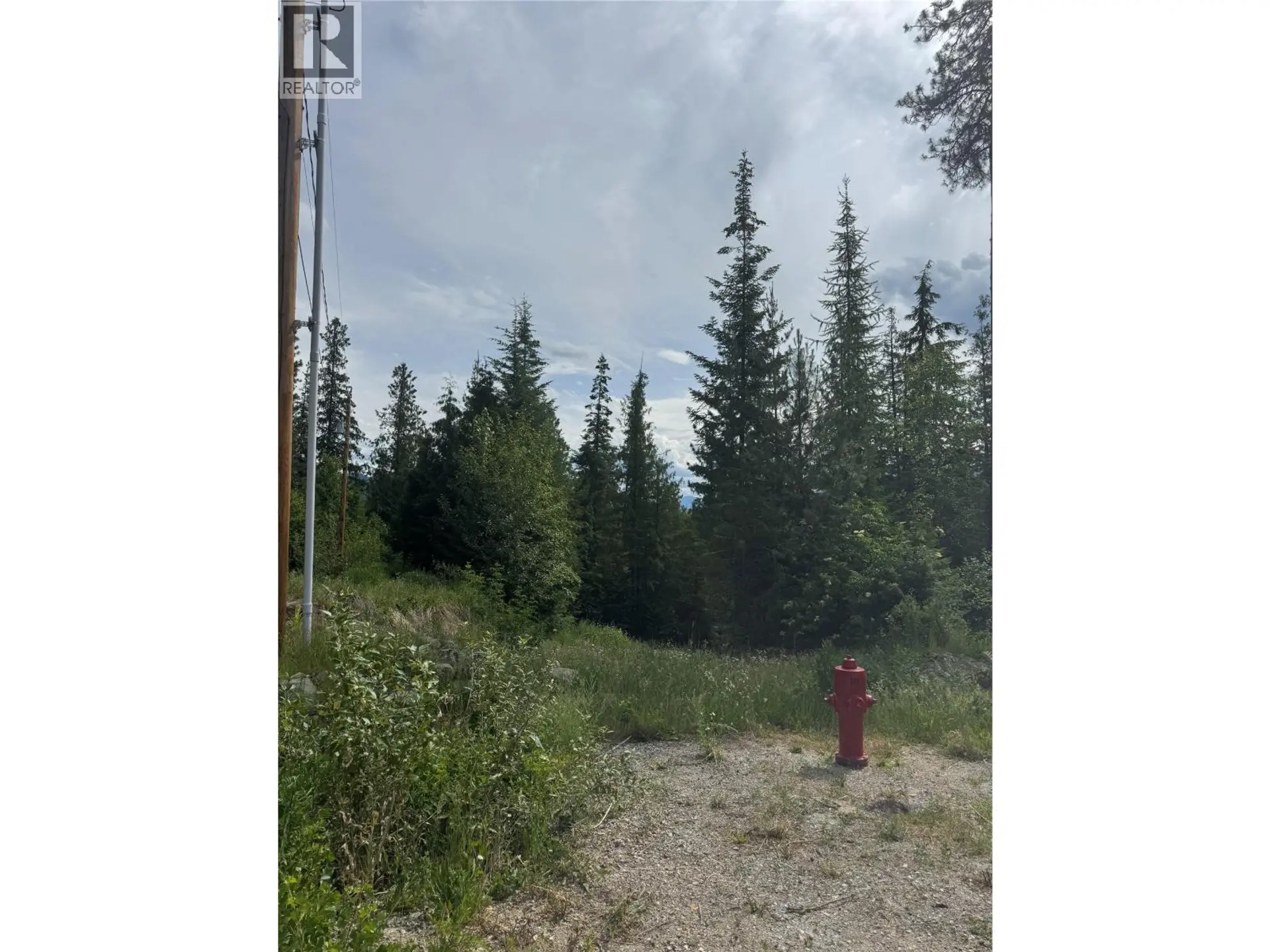 Property at 4018 FUMOT PLACE, Bonnington, BC