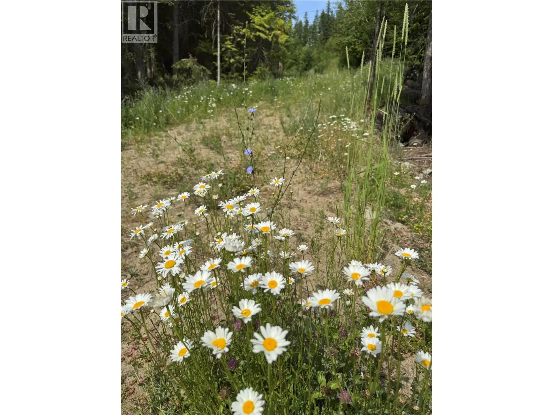 Property at 4018 FUMOT PLACE, Bonnington, BC