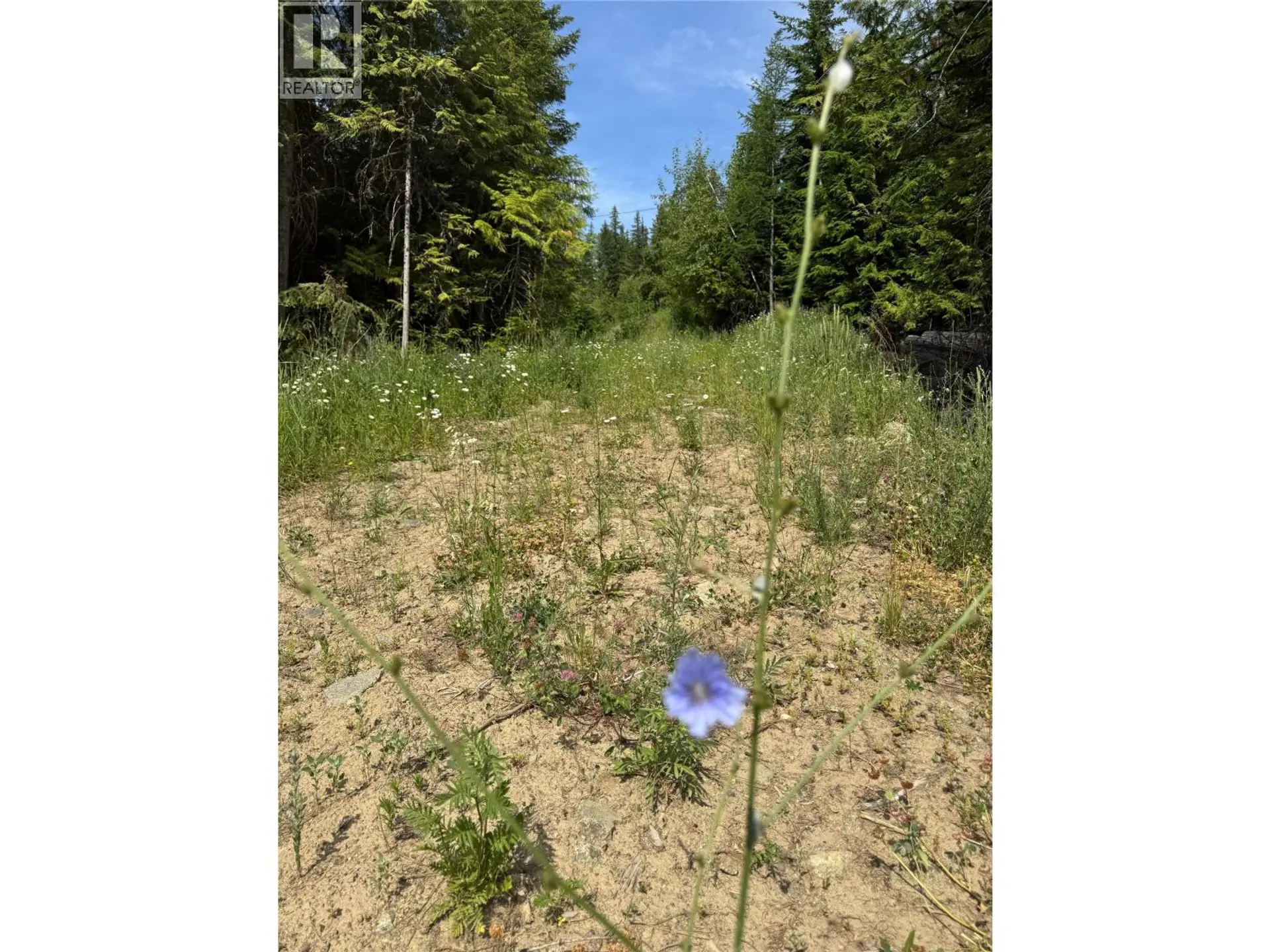 Property at 4018 FUMOT PLACE, Bonnington, BC