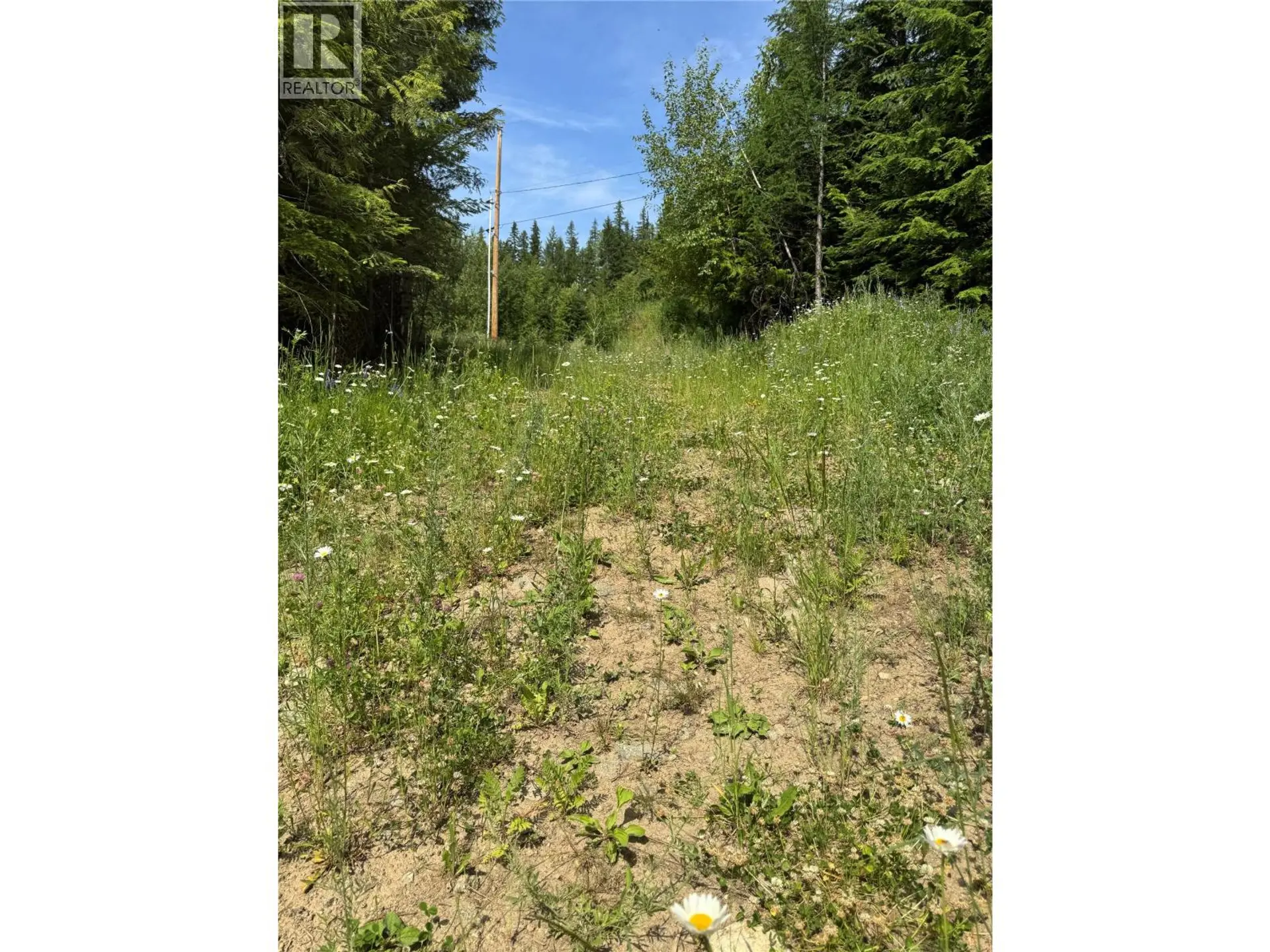 Property at 4018 FUMOT PLACE, Bonnington, BC