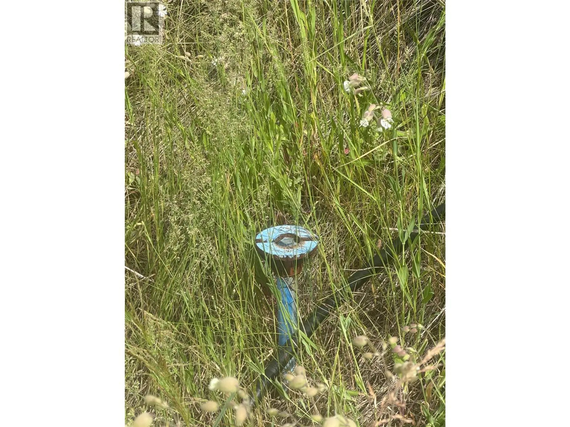 Property at 4018 FUMOT PLACE, Bonnington, BC