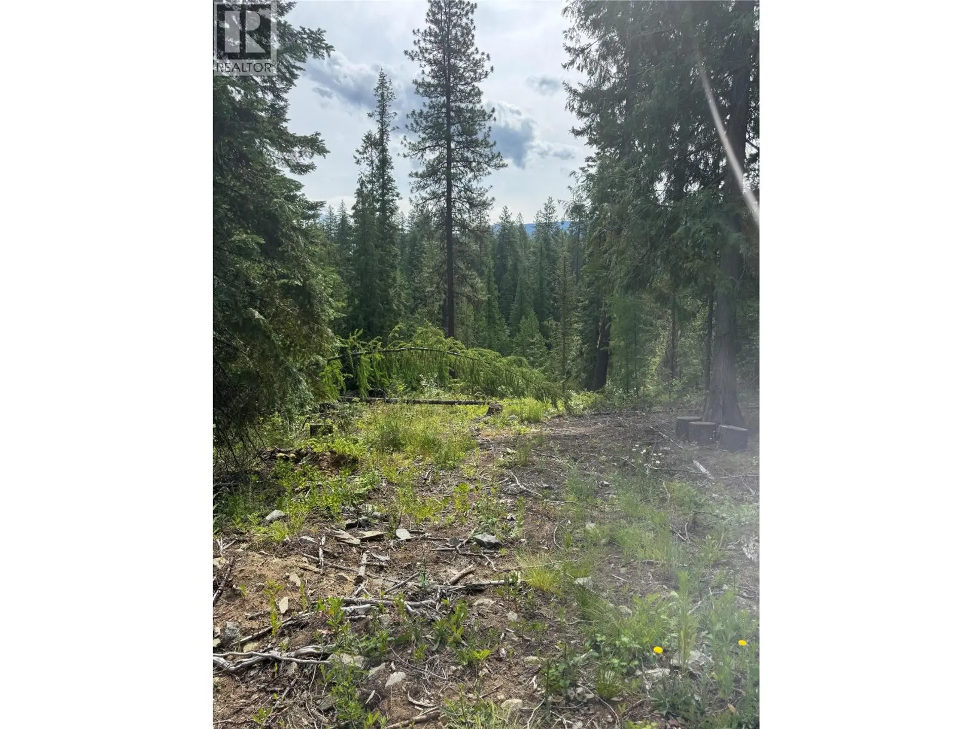 Property at 4018 FUMOT PLACE, Bonnington, BC