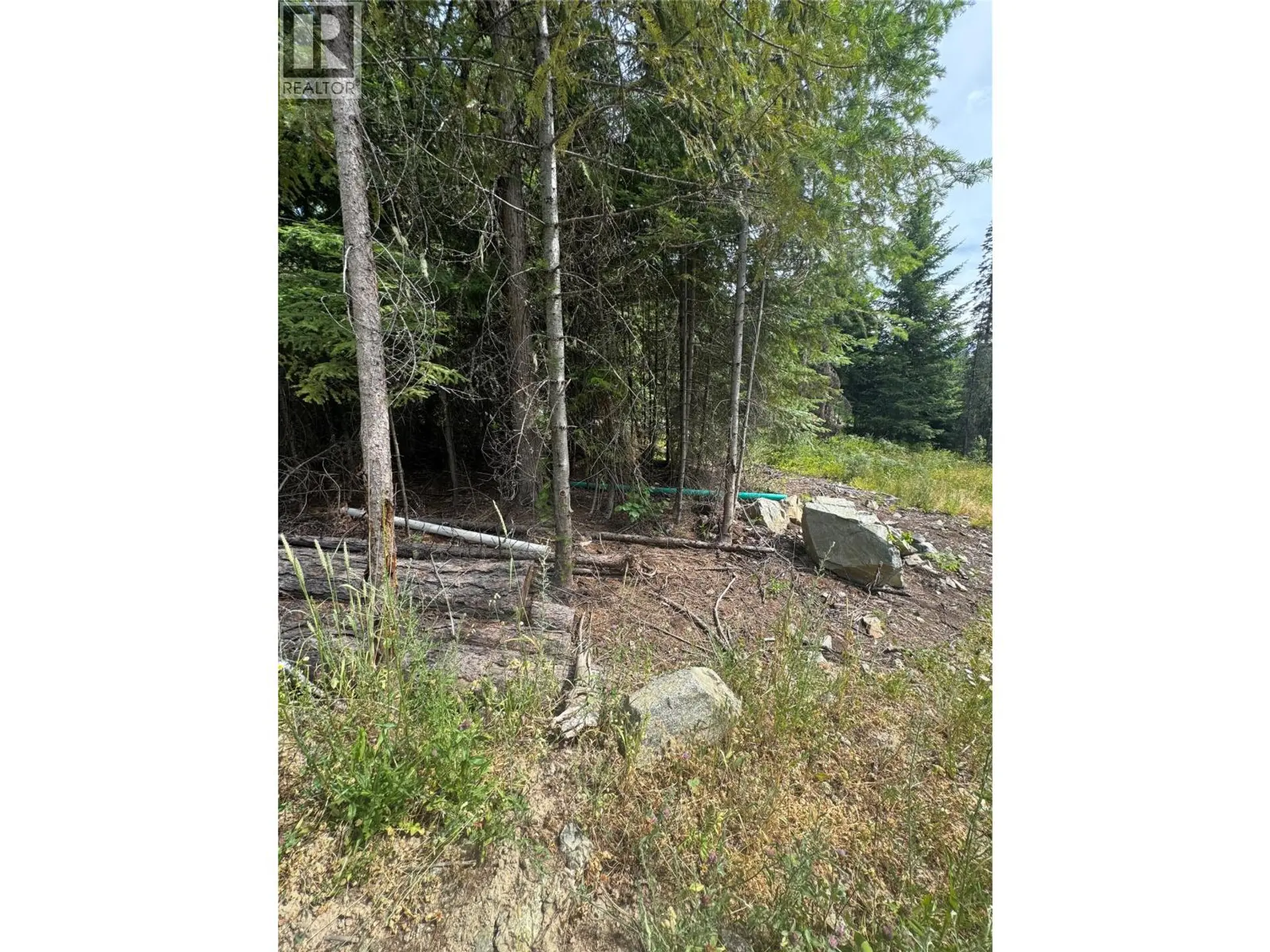 Property at 4018 FUMOT PLACE, Bonnington, BC