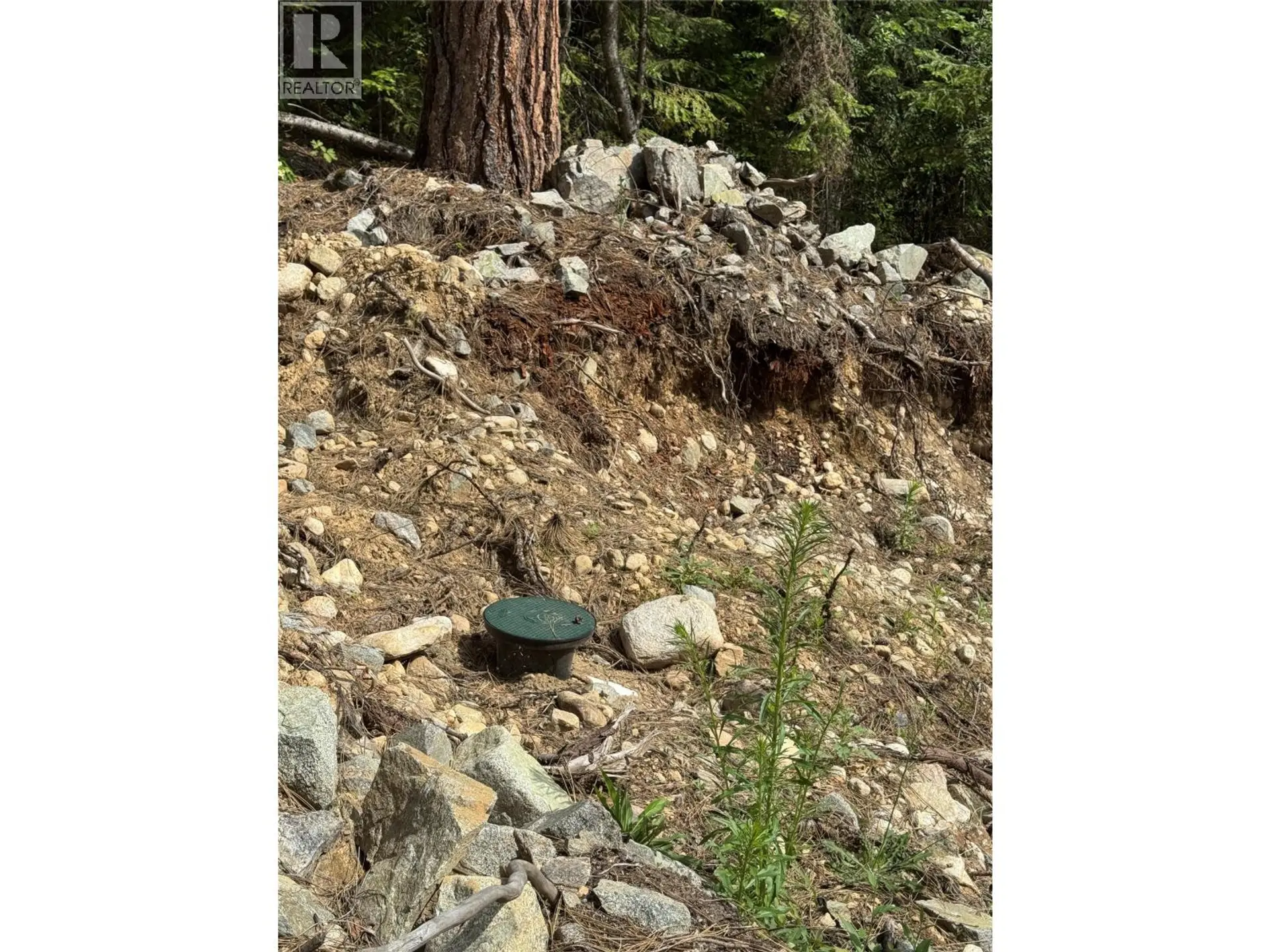 Property at 4018 FUMOT PLACE, Bonnington, BC