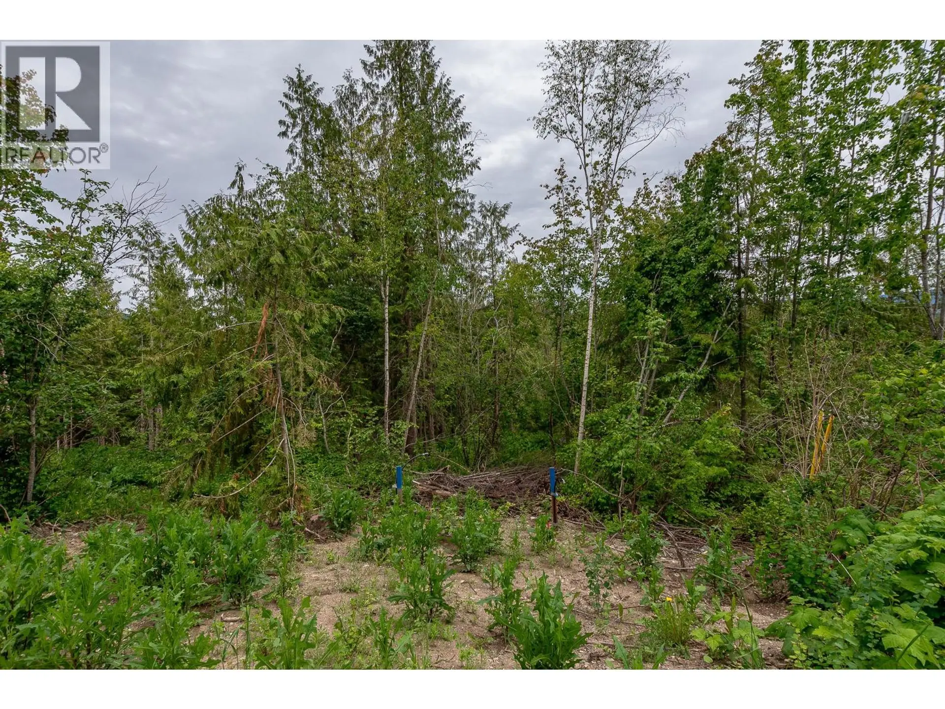 Property at 119 TIMBERLANE ROAD, Enderby, BC