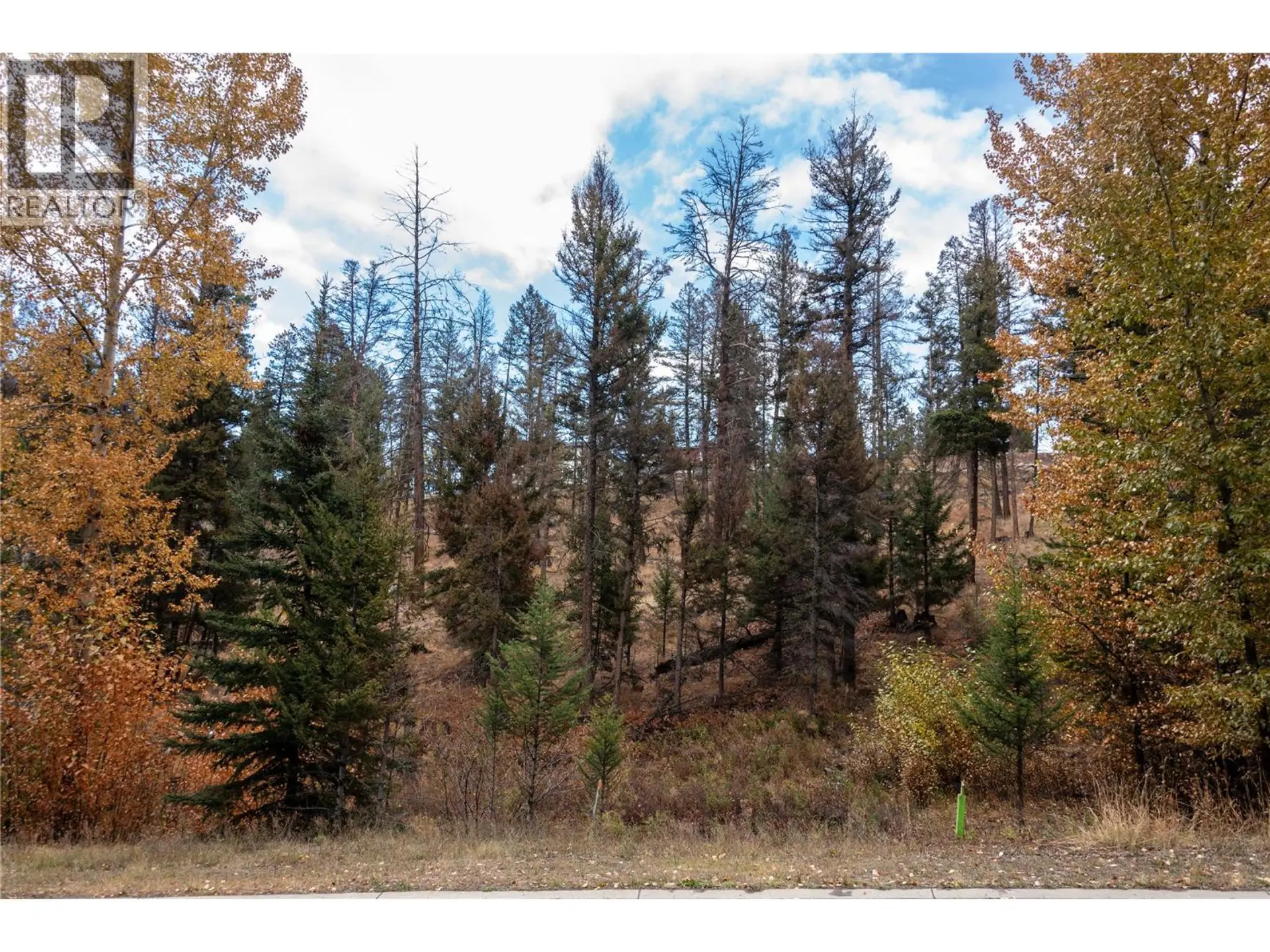 Property at 331 POPLAR DRIVE, Logan Lake, BC