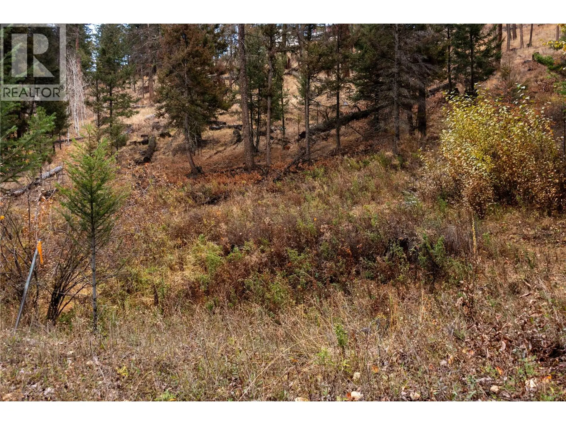 Property at 331 POPLAR DRIVE, Logan Lake, BC