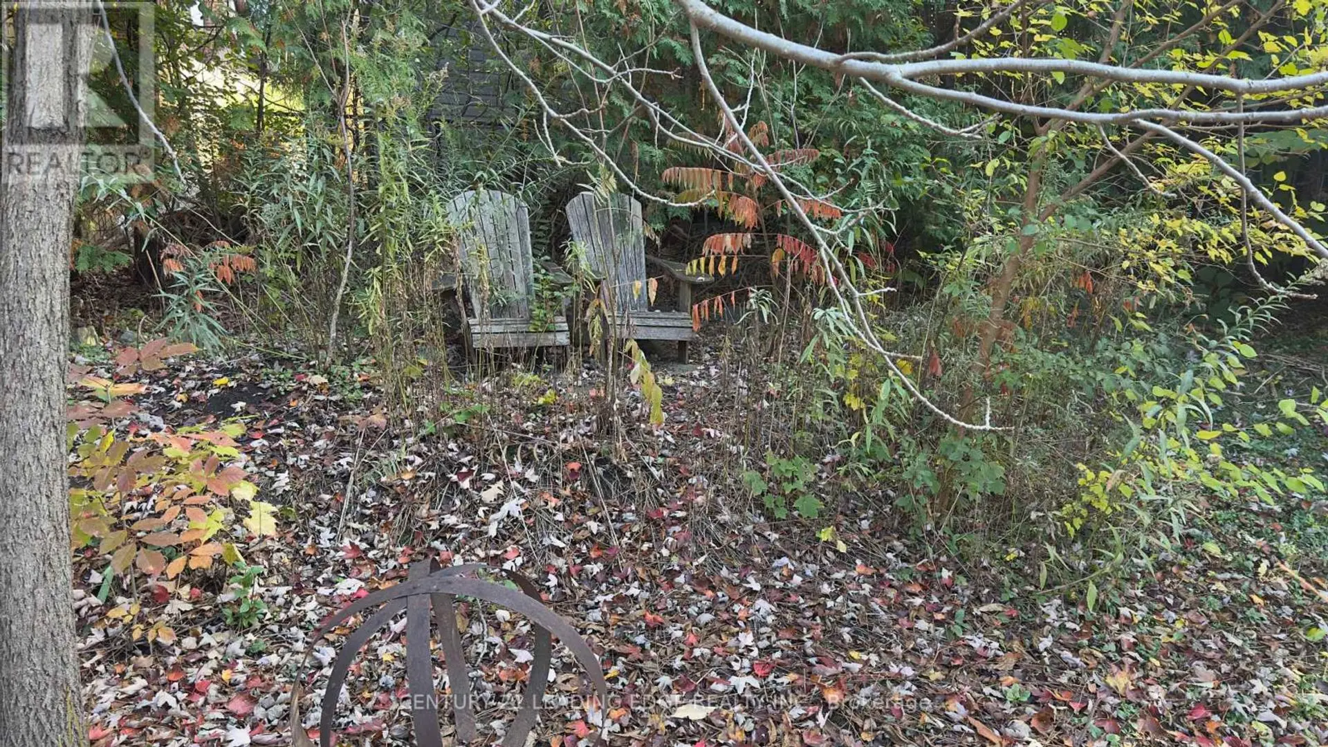 117 WESTWOOD LANE - Image 5